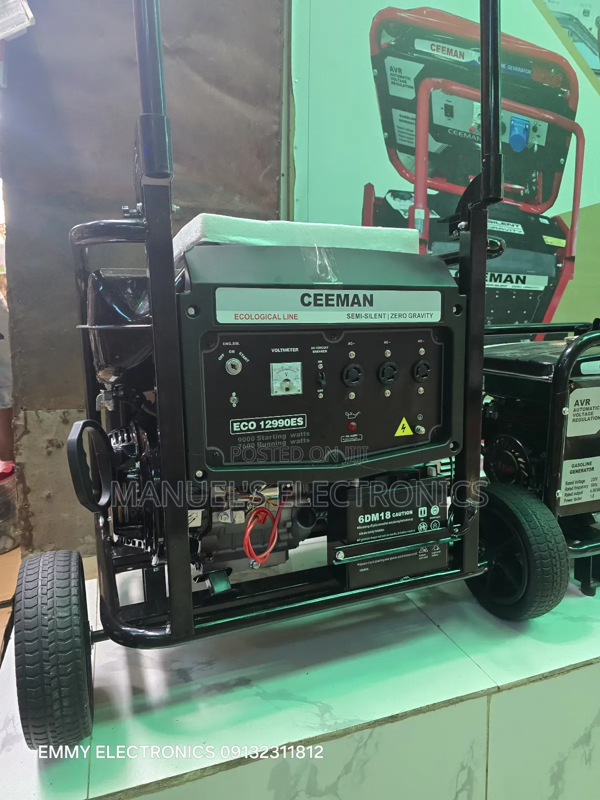 (10kva)Ceeman Petrol Generator Model Eco12990e2 100% Copper Coil