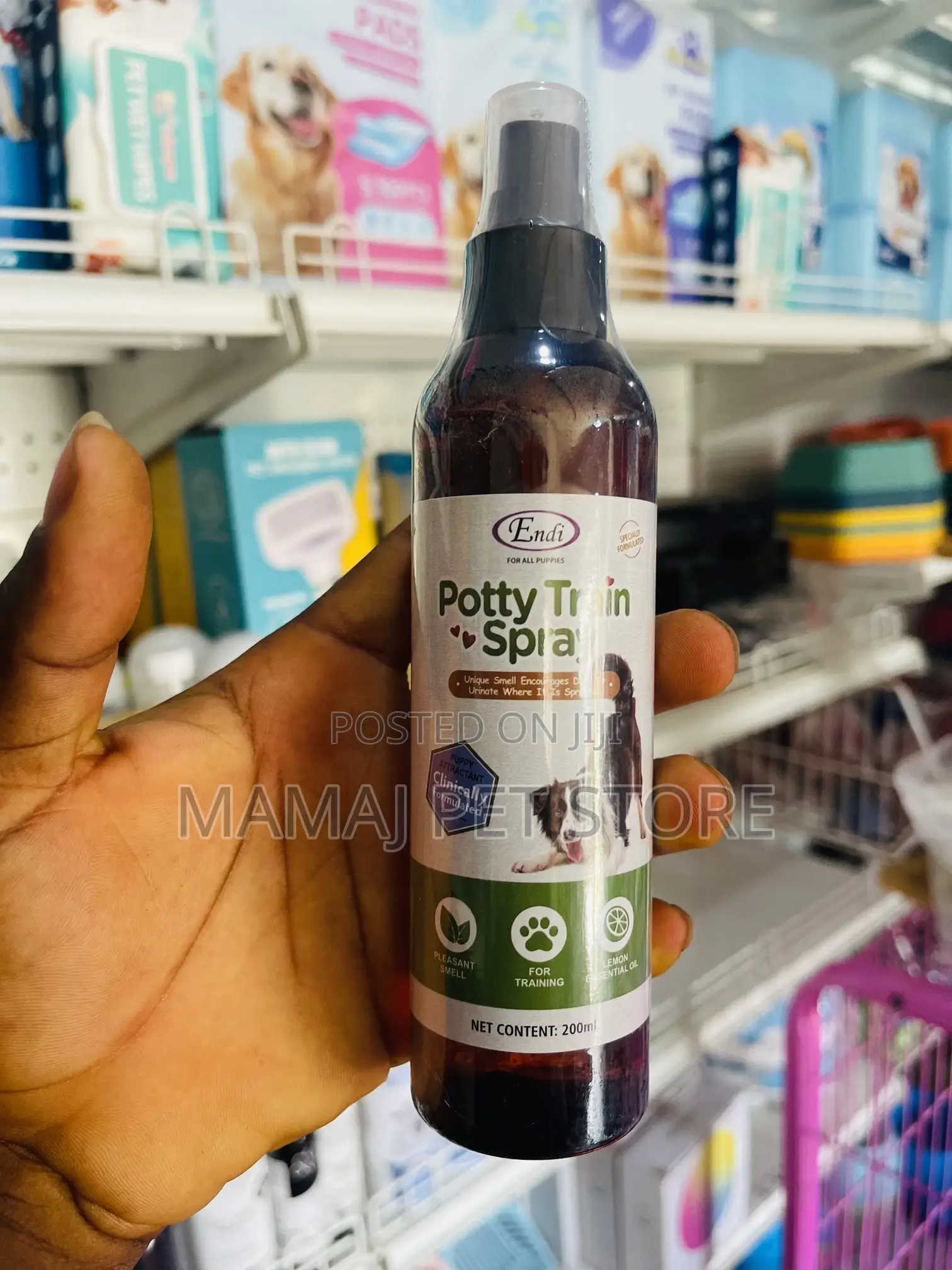 Pet Potty Training Spray