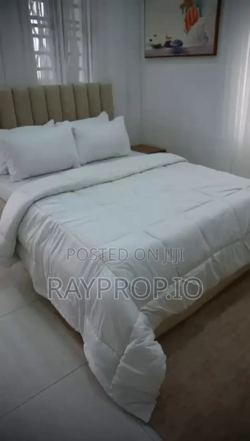 509869ii - 2 Bedroom Shortlet in Ikate Lekki