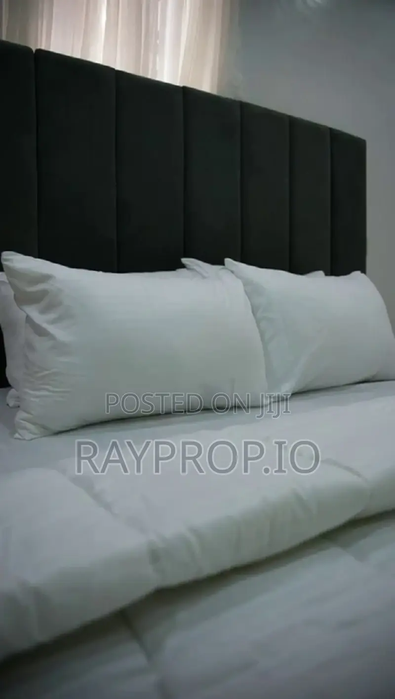 509869ii - 2 Bedroom Shortlet in Ikate Lekki