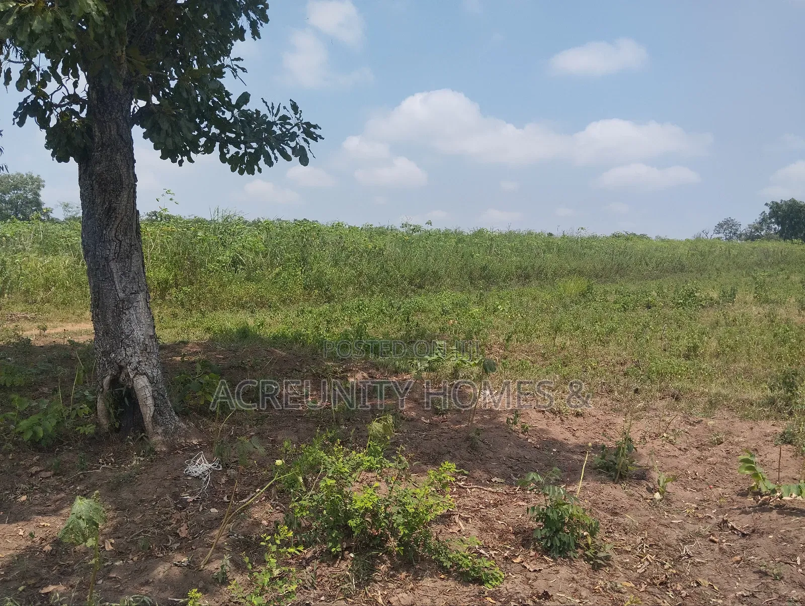100 Acres of Fertile Farmland – Okeho, Kajola Local Govt Oyo State