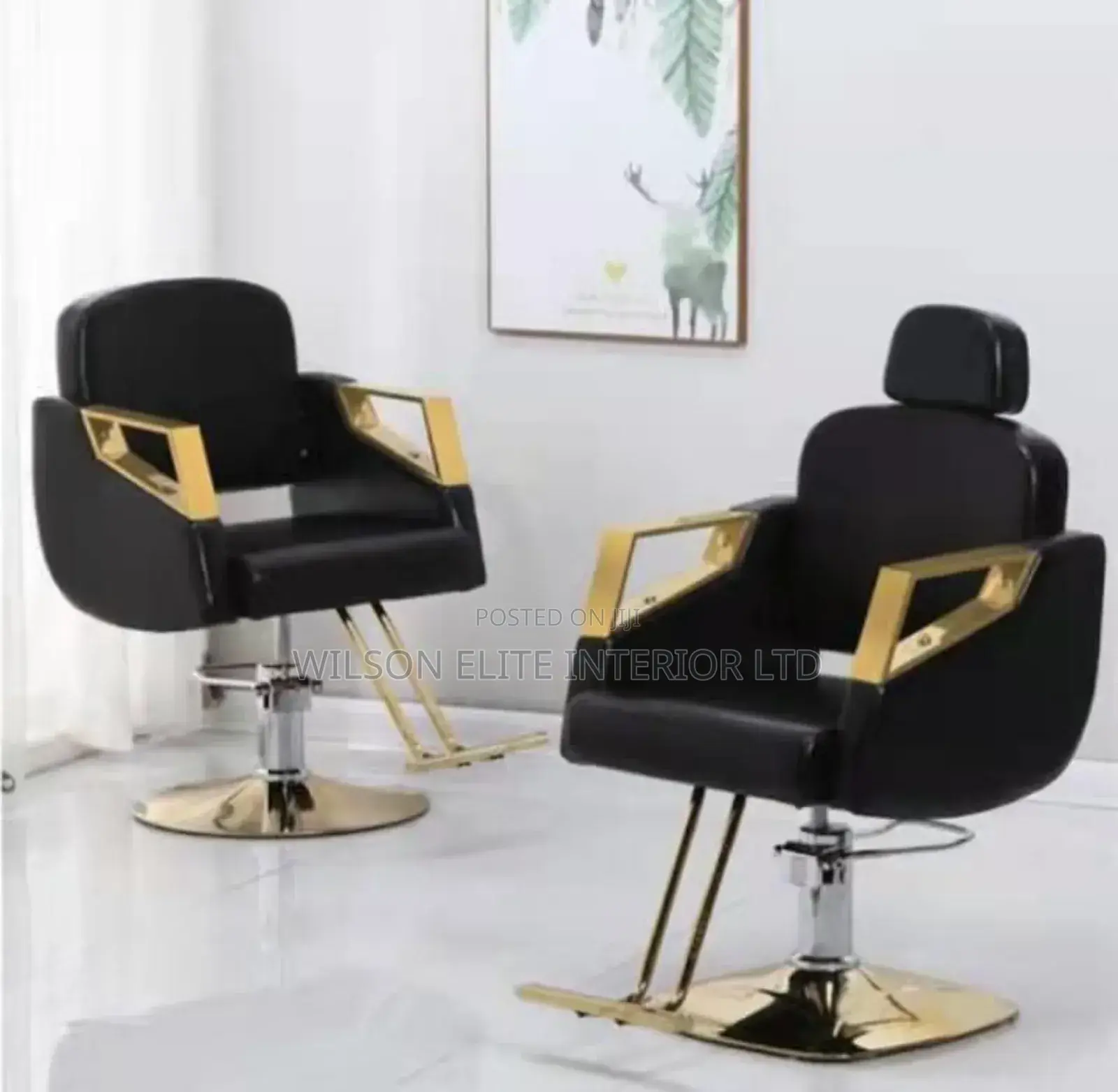 Luxury Hydraulic Salon Chair – Adjustable Comfortable