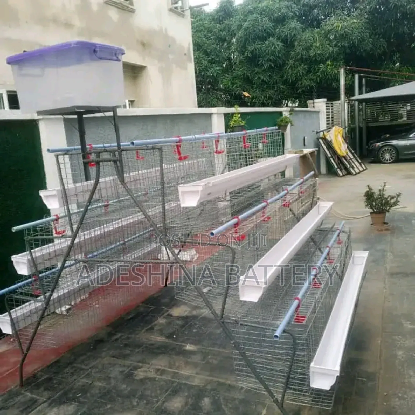 Complete Local Cages With His Accessories