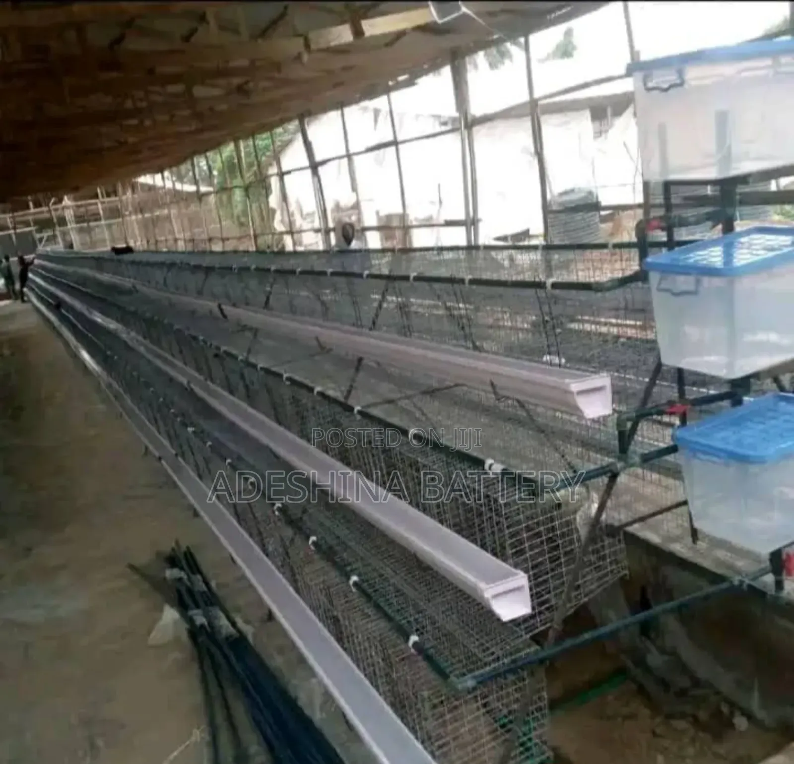 Complete Local Cages With His Accessories