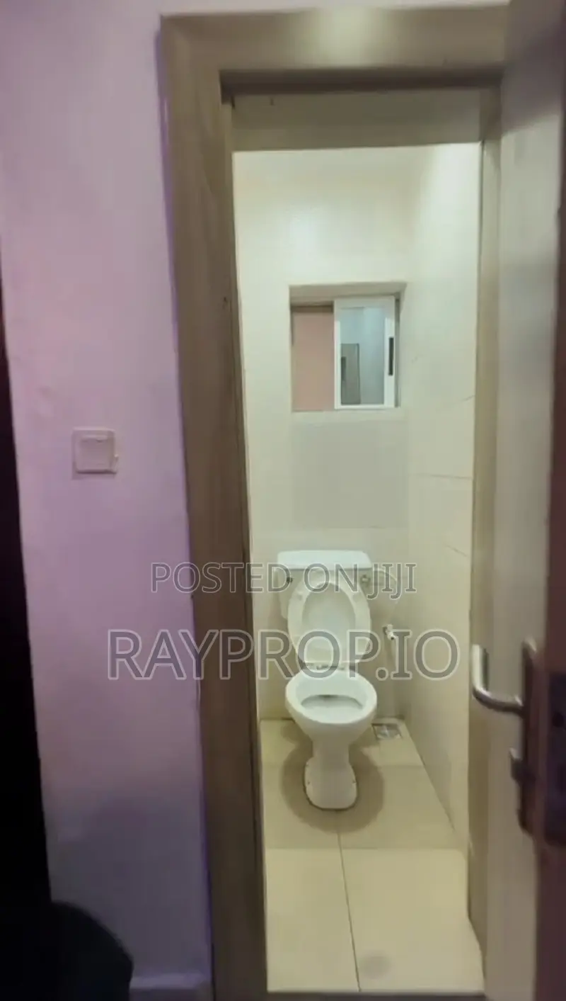 382789pc - Stylish 2 Bedroom Shortlet in Surulere