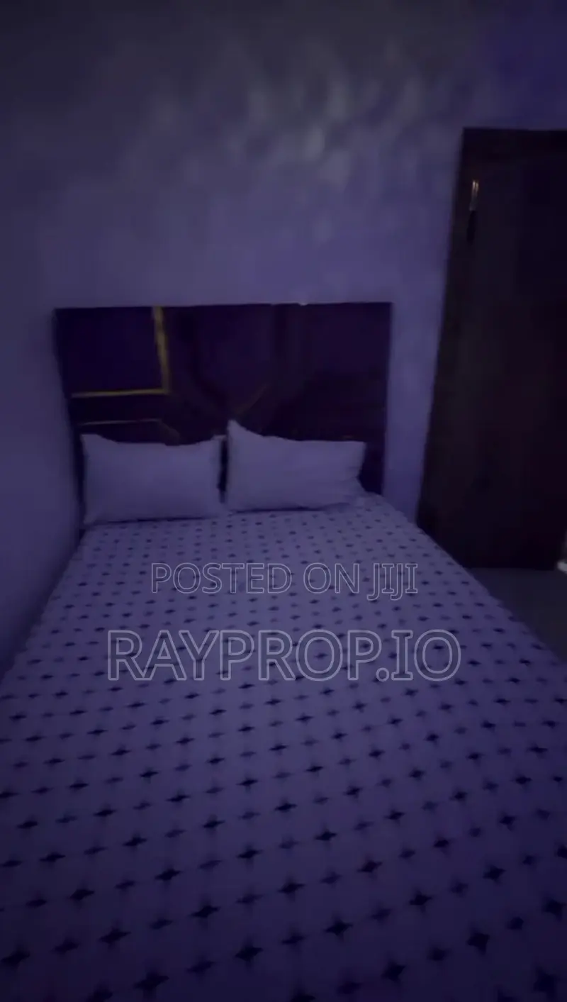 382789pc - Stylish 2 Bedroom Shortlet in Surulere