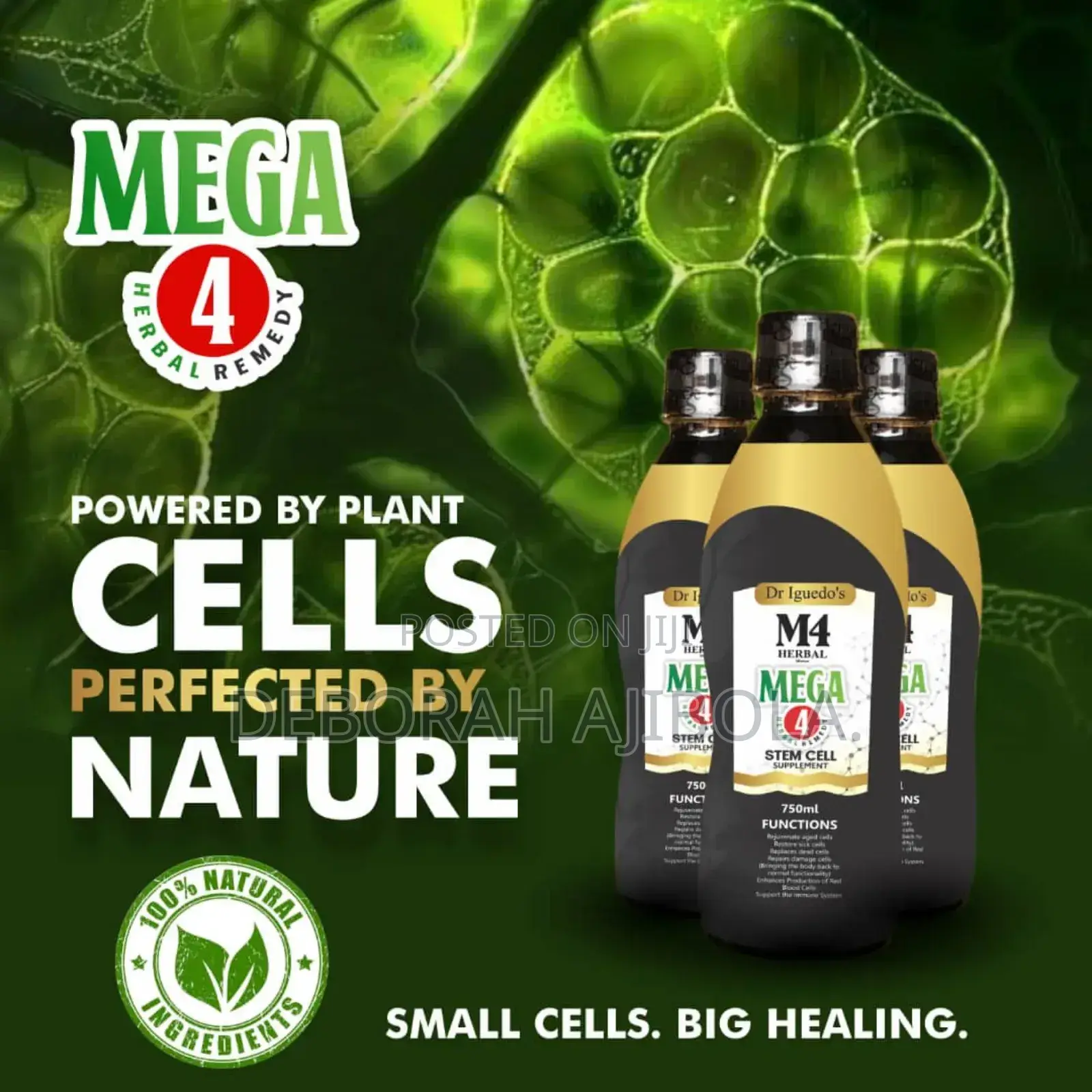Mega 4 Stem Cell Herbal Remedy