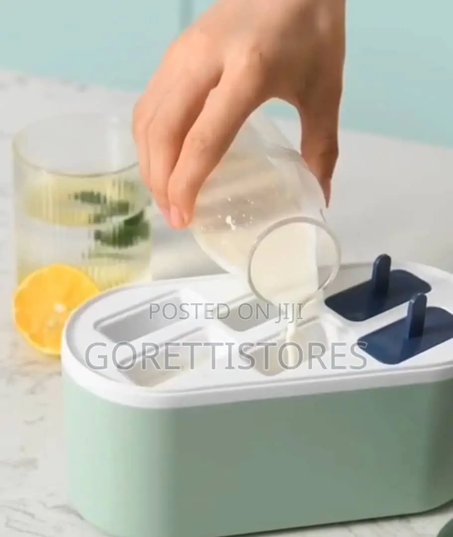 Popsicle/Ice Cream Mold