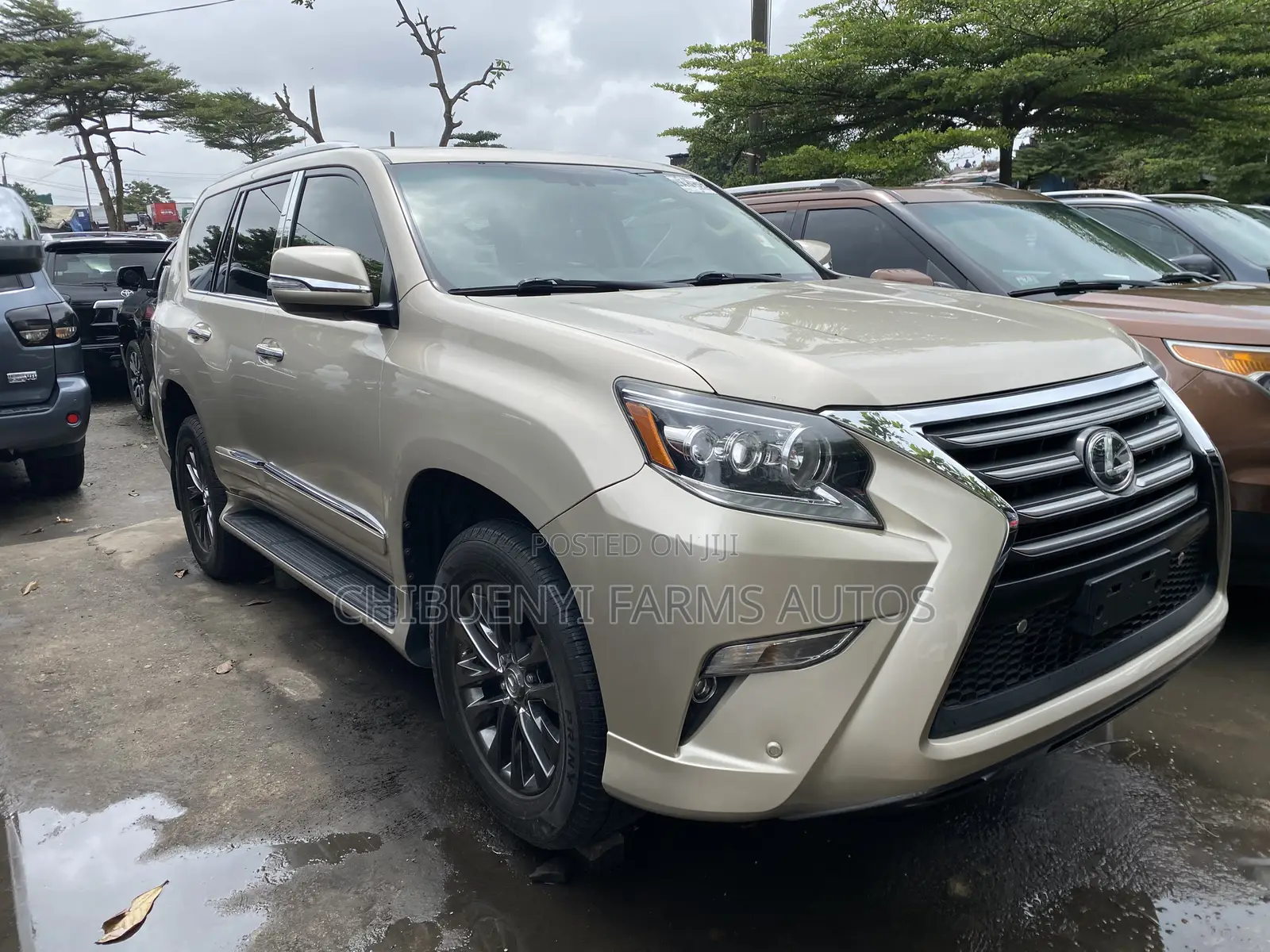 Lexus GX 460 Luxury 2014 Gold