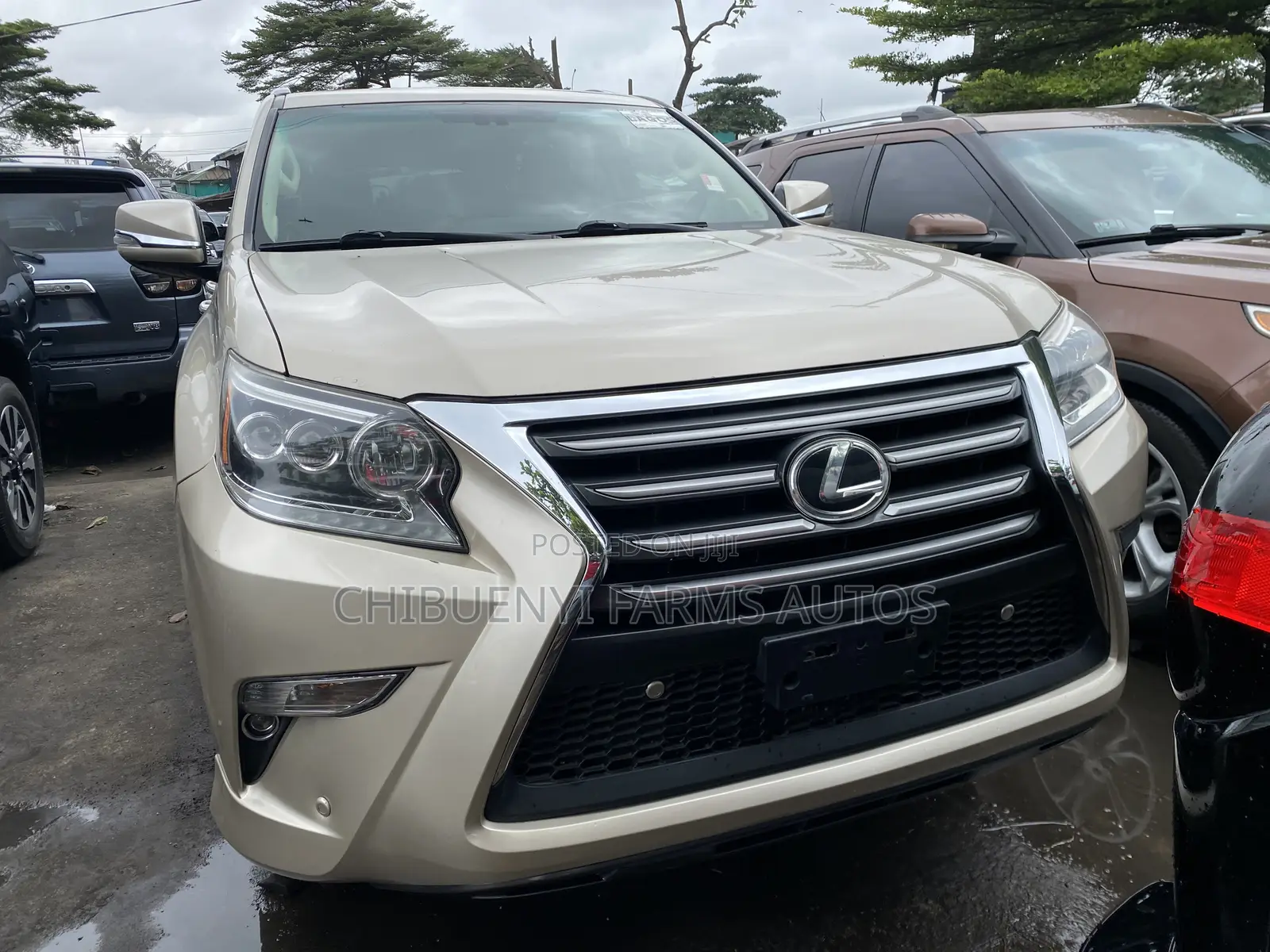 Lexus GX 460 Luxury 2014 Gold