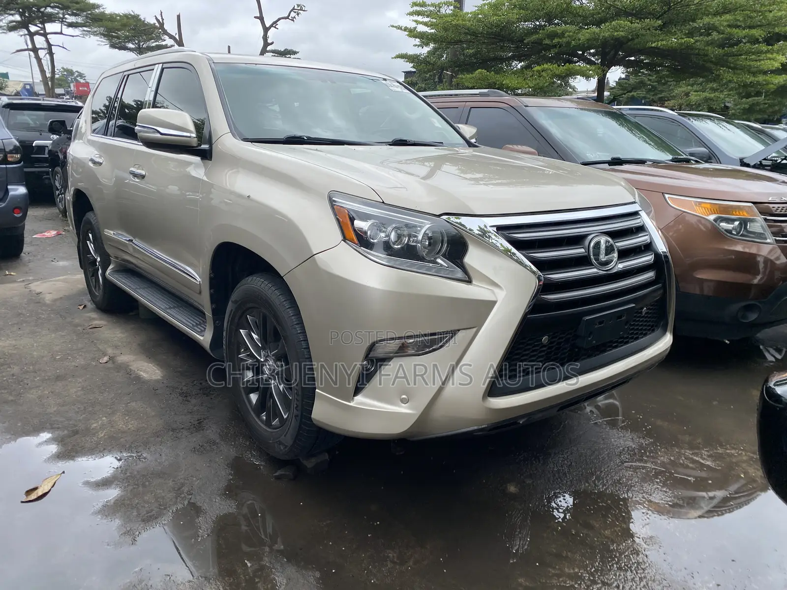 Lexus GX 460 Luxury 2014 Gold