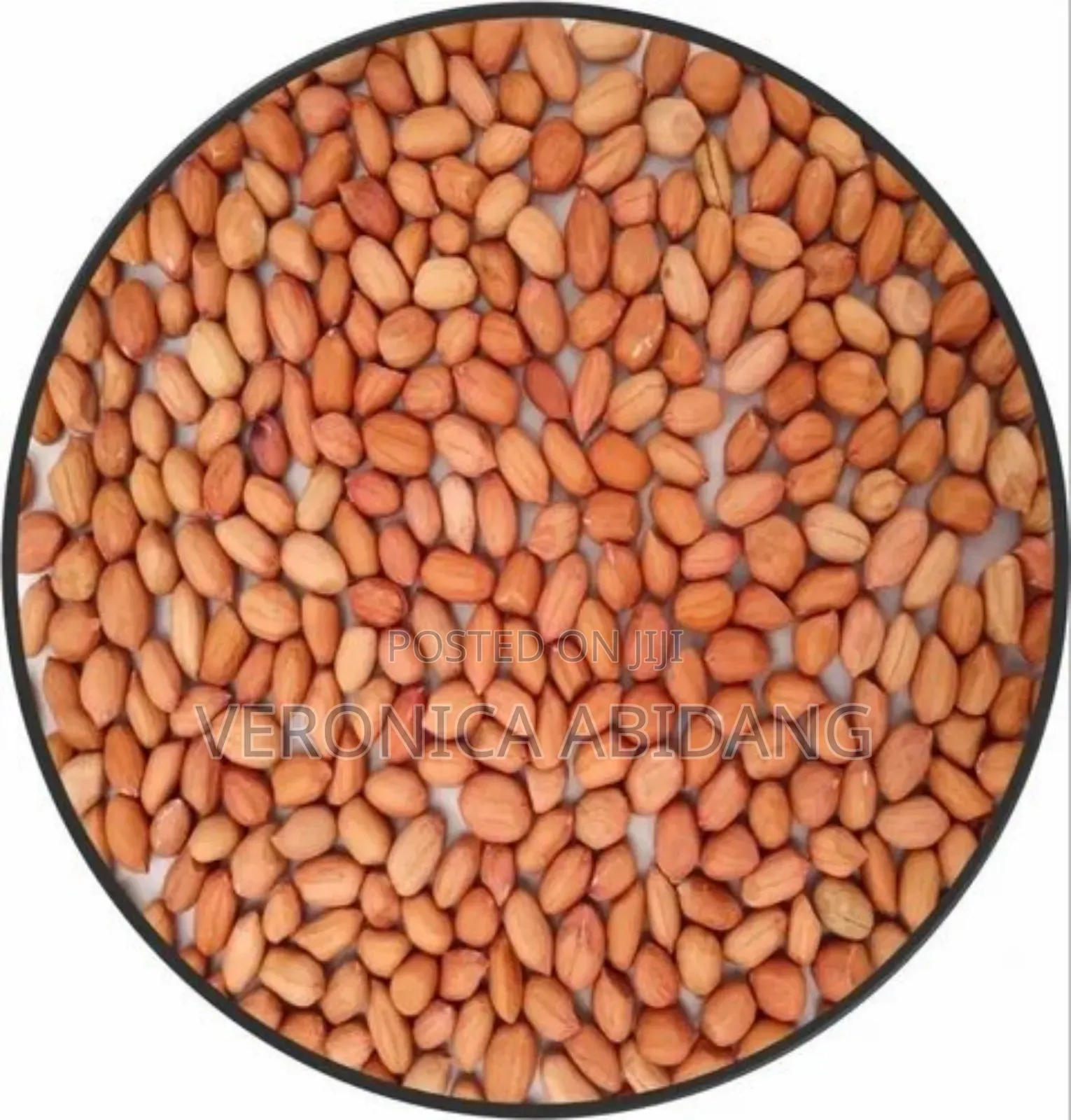 Well Fried Groundnut
