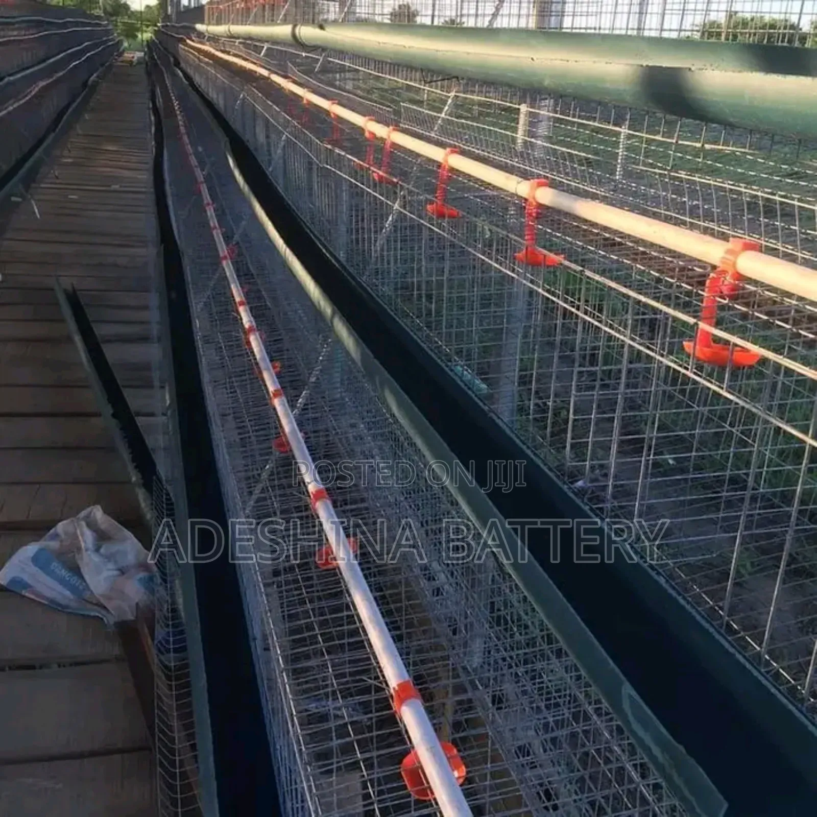 Battery Cages Is for Sell in Bulk