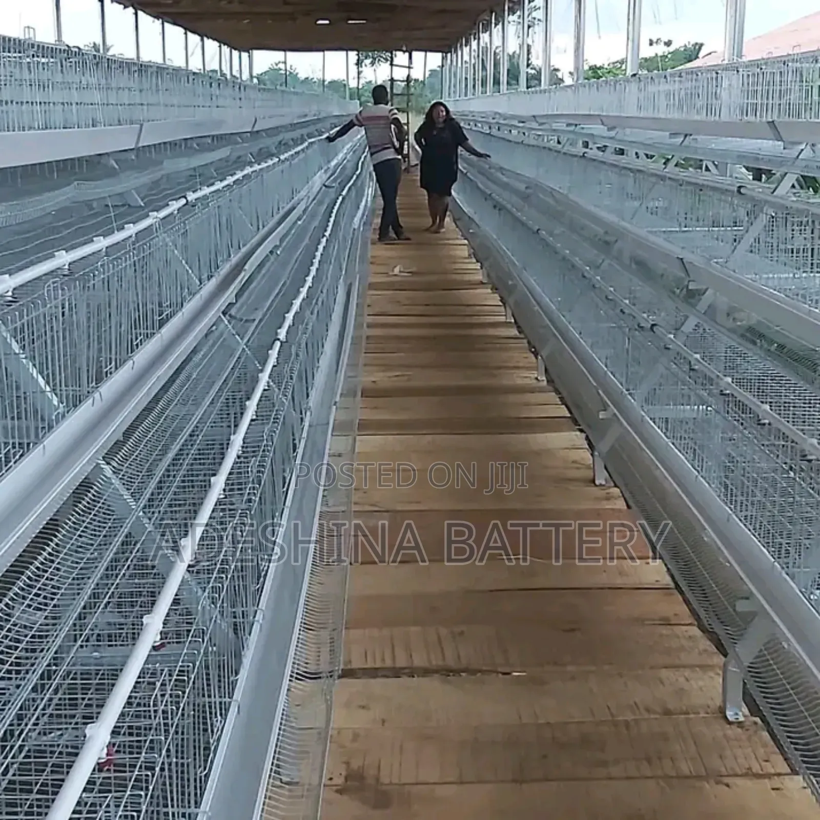 Battery Cages Is for Sell in Bulk