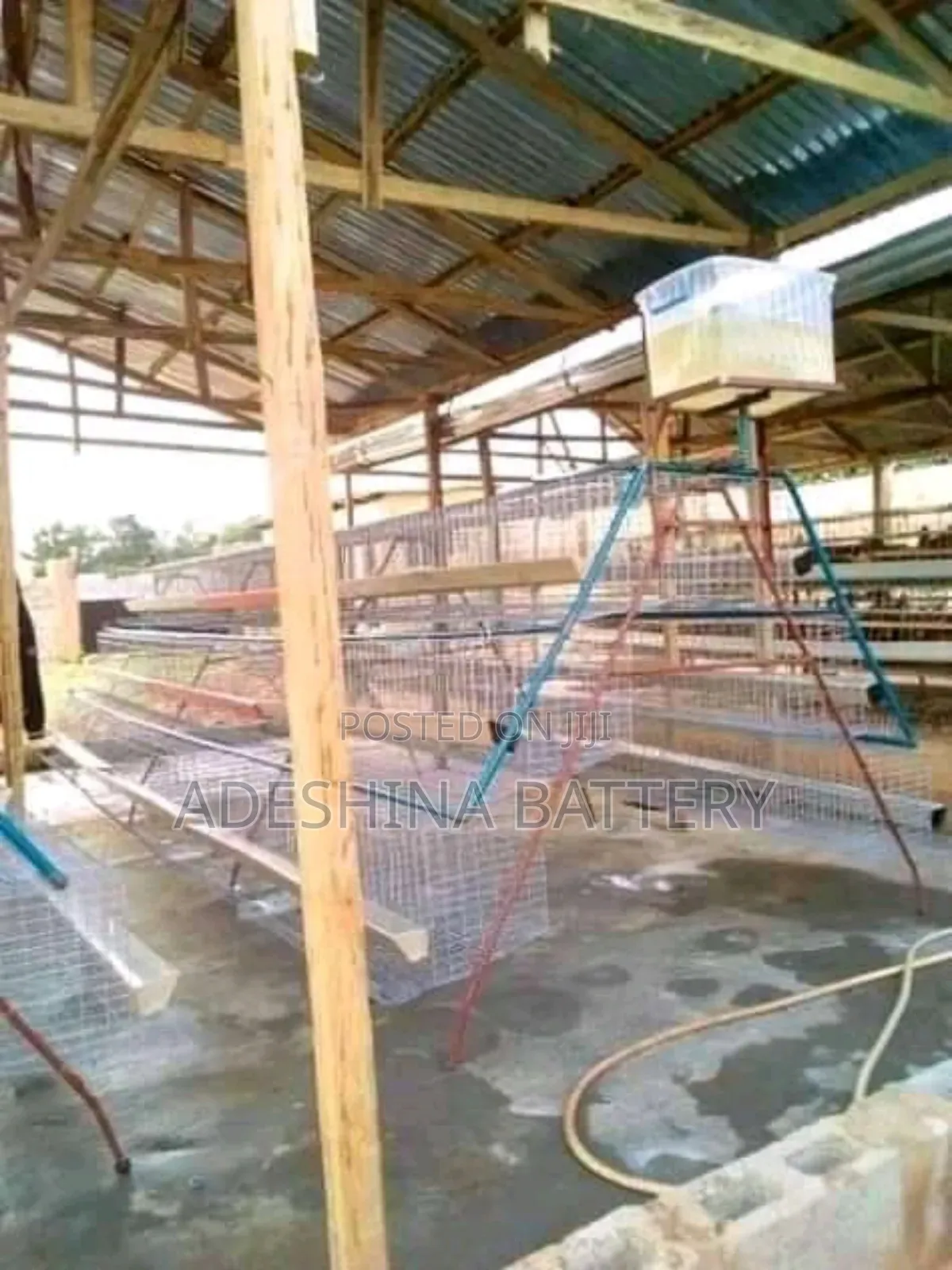 Battery Cages Is for Sell in Bulk