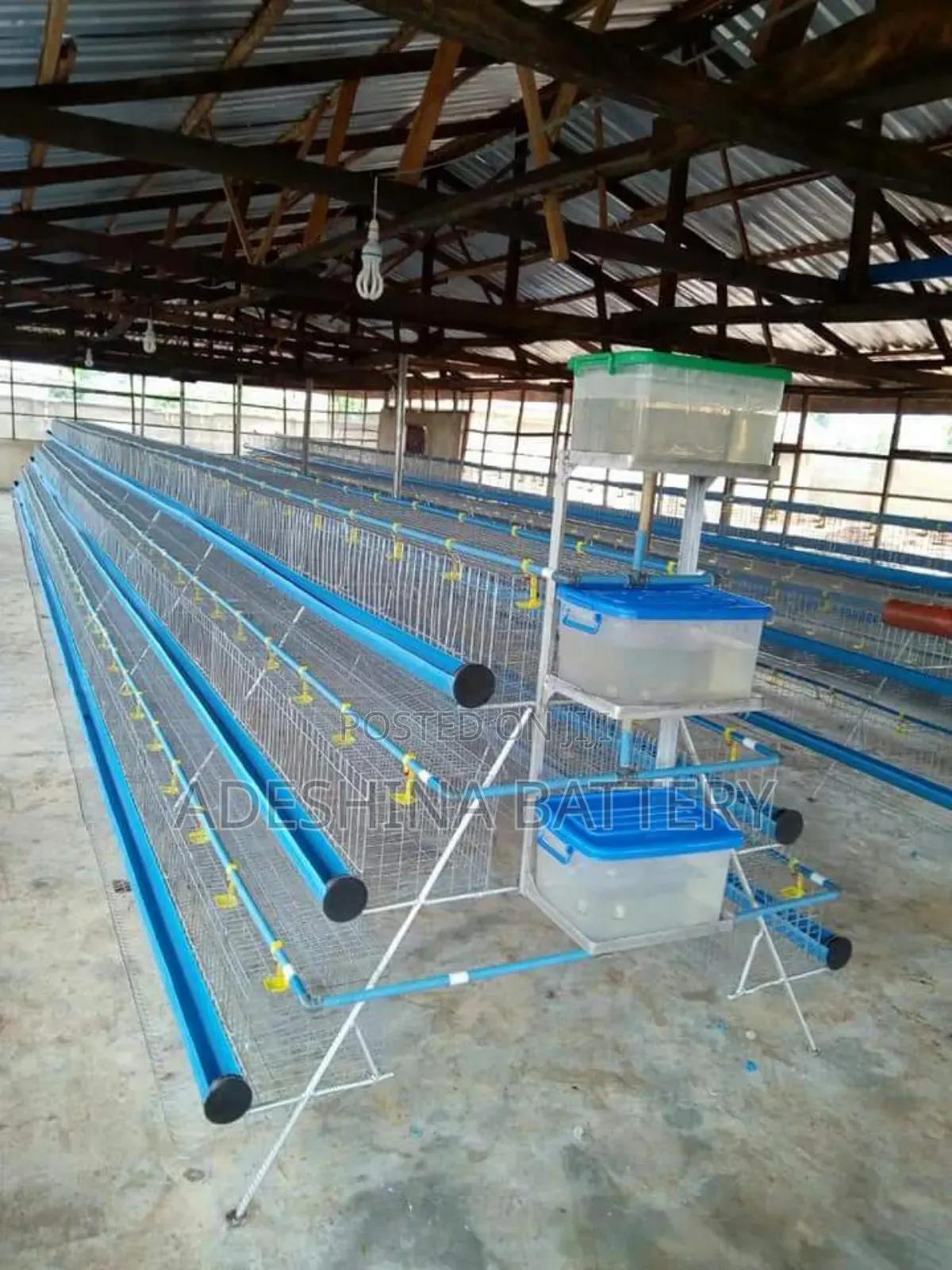 Battery Cages Is for Sell in Bulk
