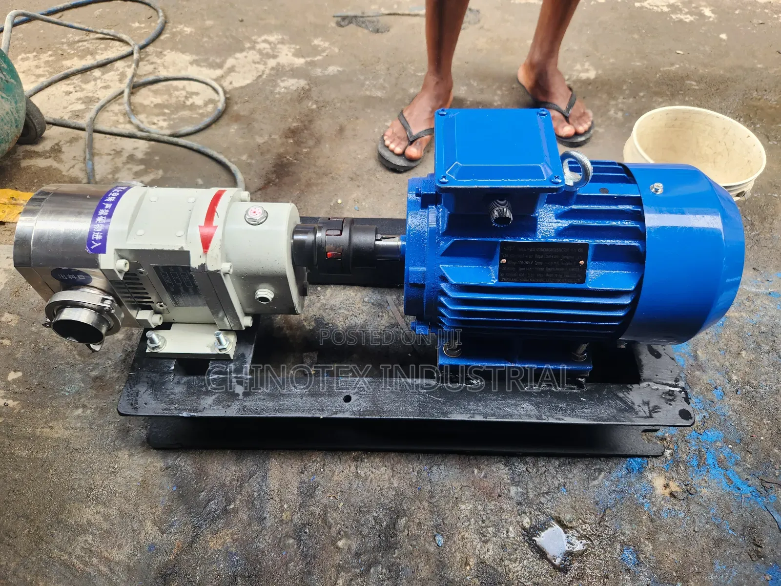 Stainless Steel Rotary Lobe Pump 3hp