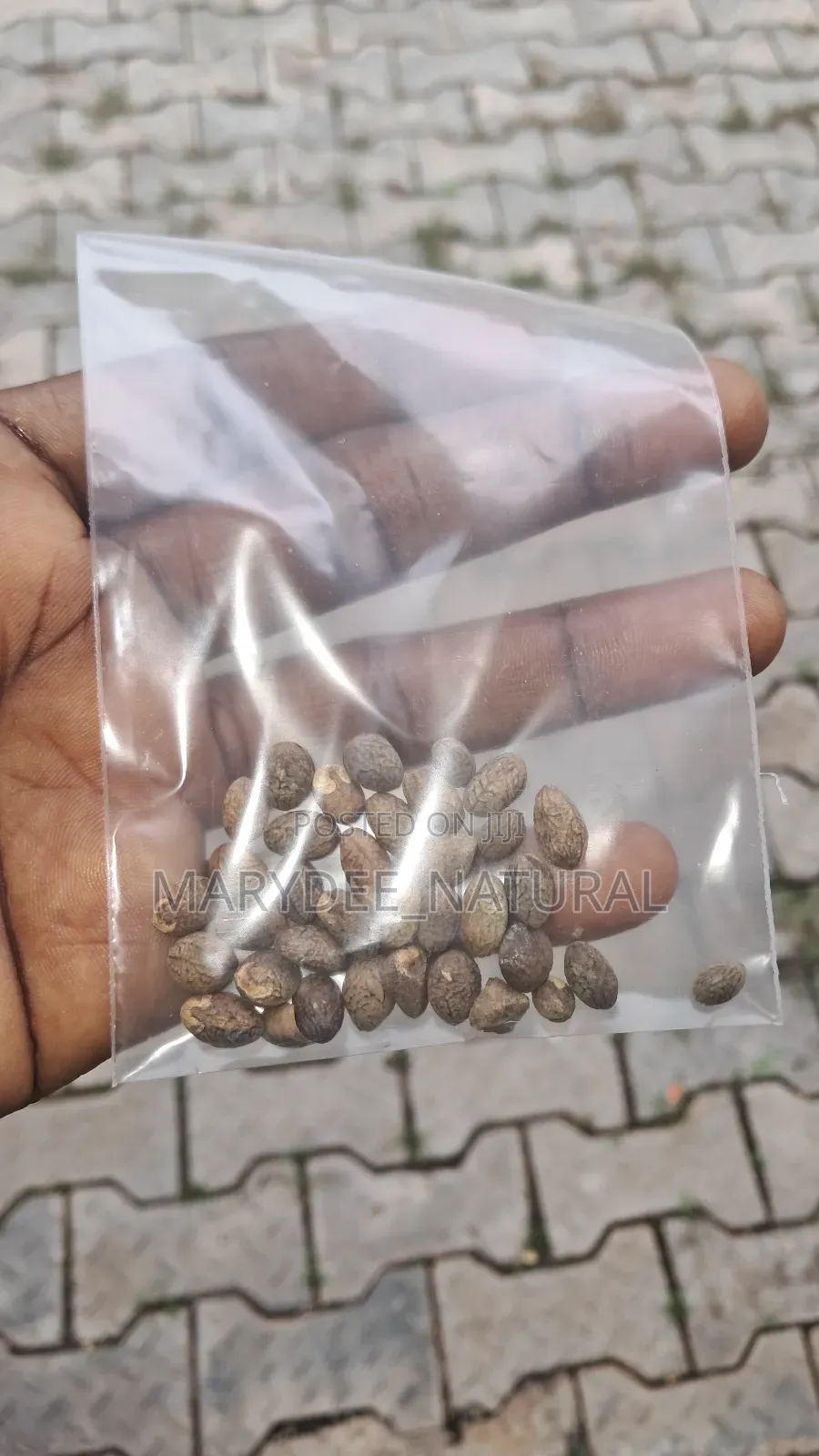 Miracle Seeds