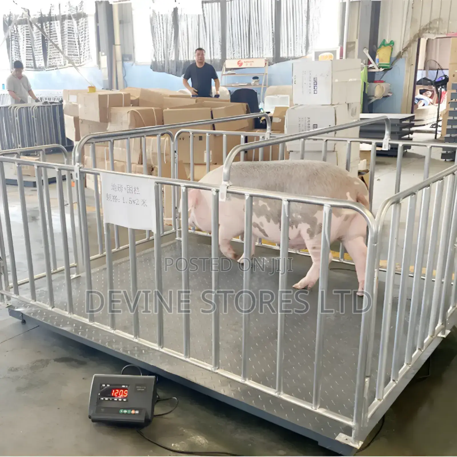 1.5x2mm Animal Weighing Cage Scale