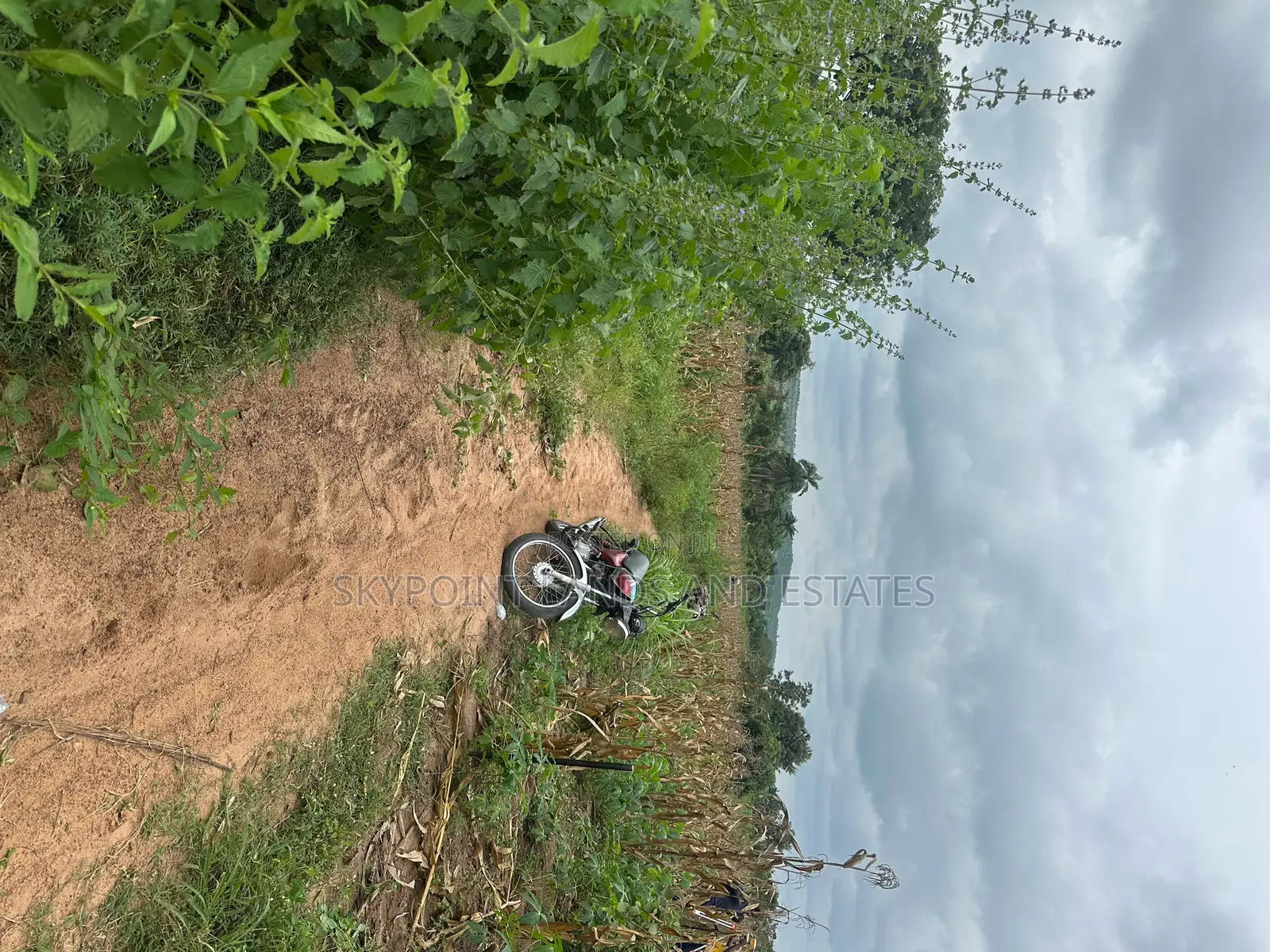 1000 Acres of Land at Ilero Town, Kajola Local Government Area