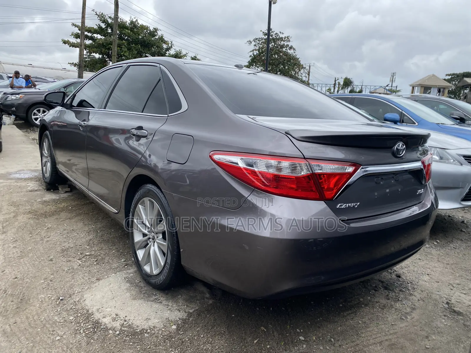 Toyota Camry XLE 4dr Sedan (2.5L 4cyl 6A) 2016 Gray