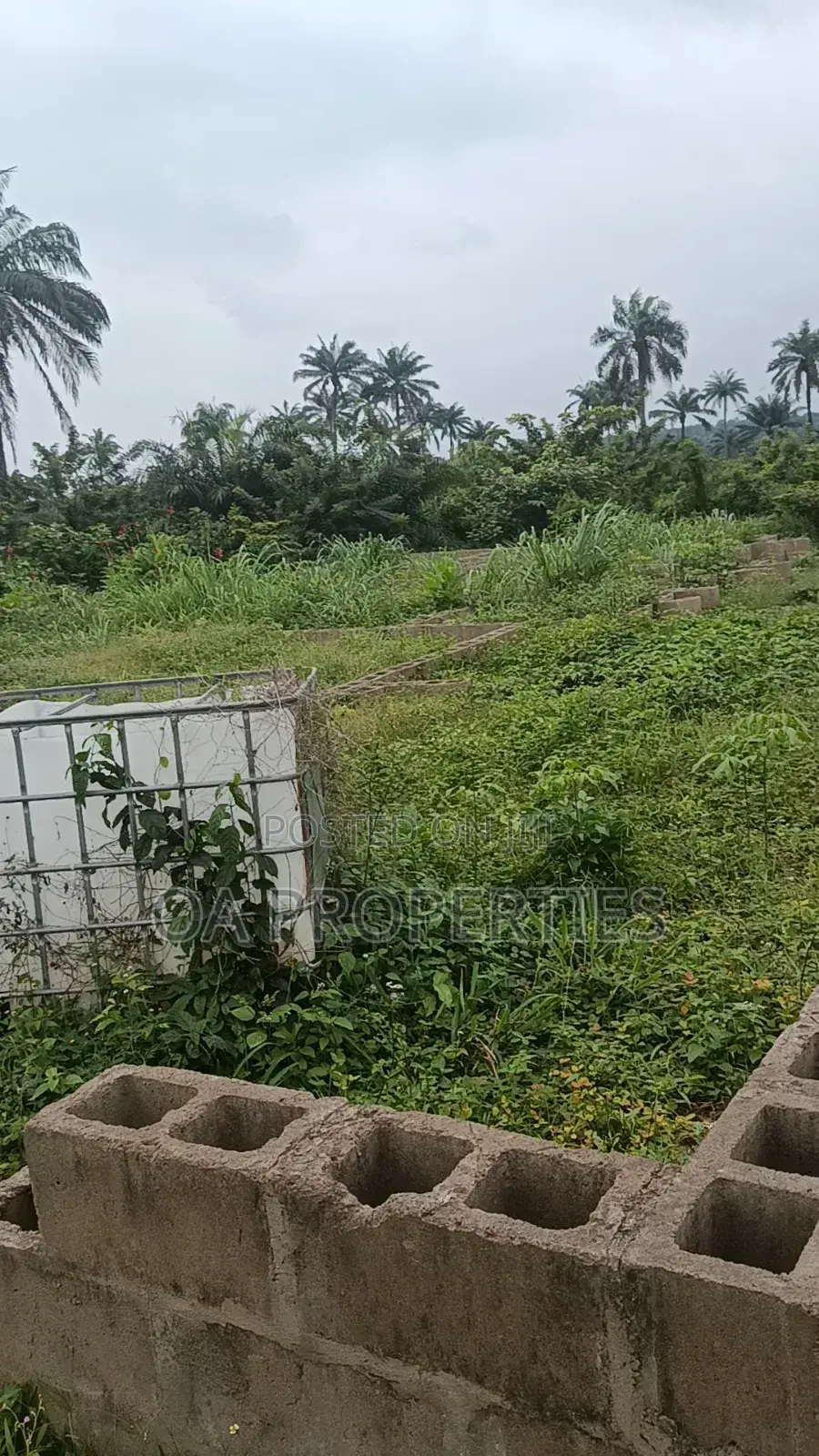 Secure Your Own Plot of Land at Riverside Estate, Iyana-Offa, Ibadan