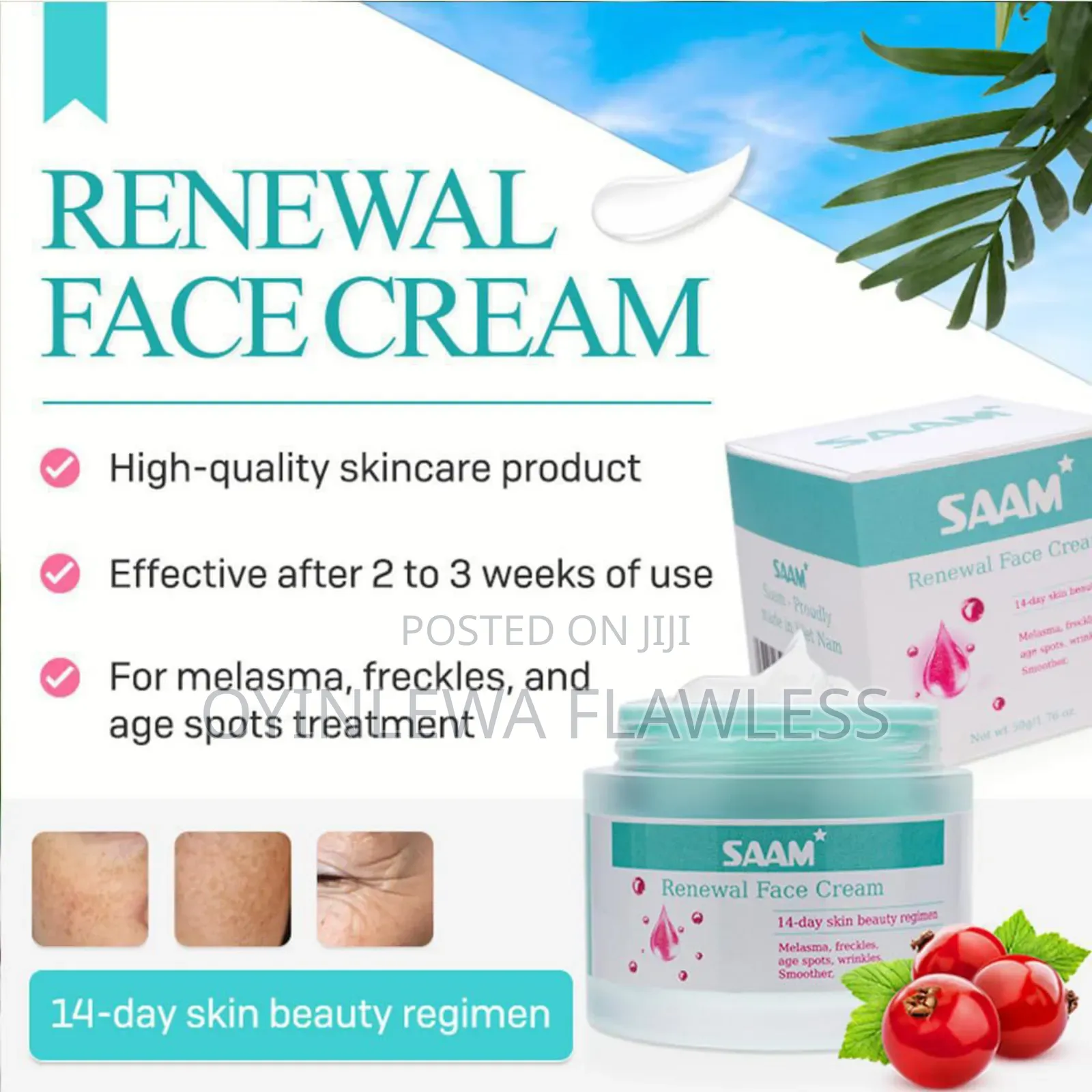 Saam Renewal Korean Miracle Rejuvenating Face Cream