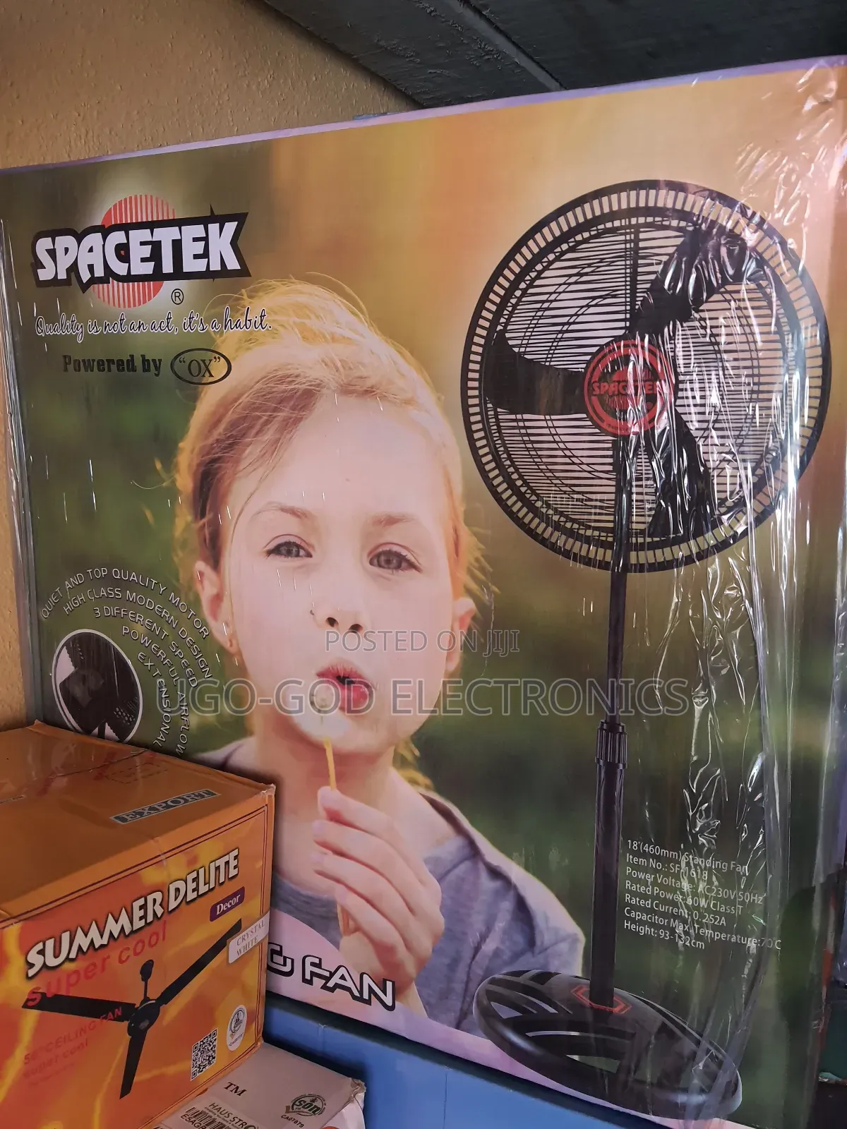 Spacetime 18 Inches Standing Fans