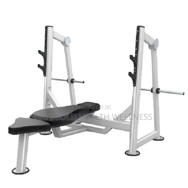 Flat Bench (Dhz Brand) U2043