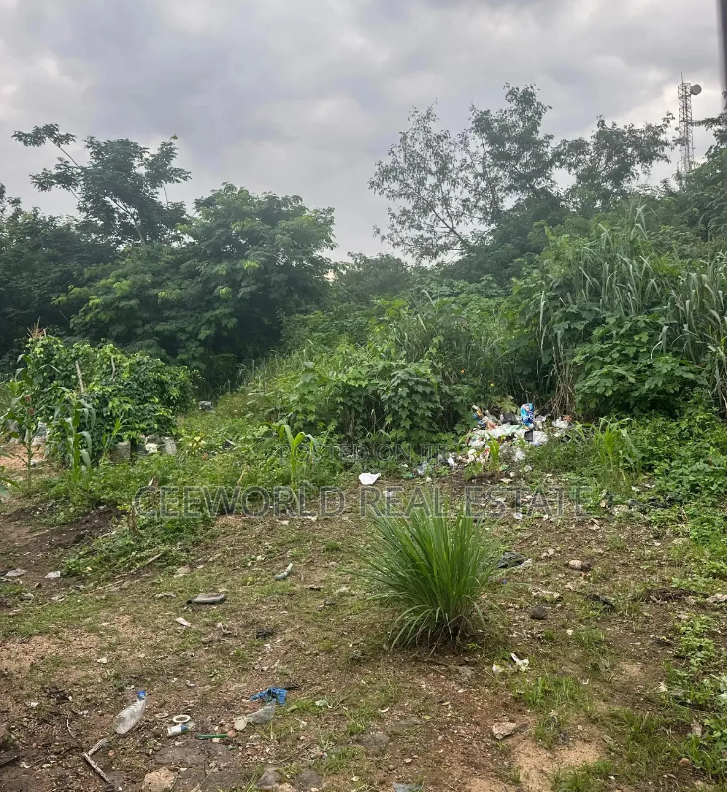 2 and Half Plot of Land Over 1200sqm
