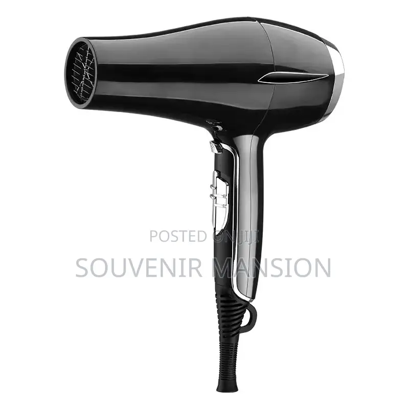 3000 Hair Dryer Watts