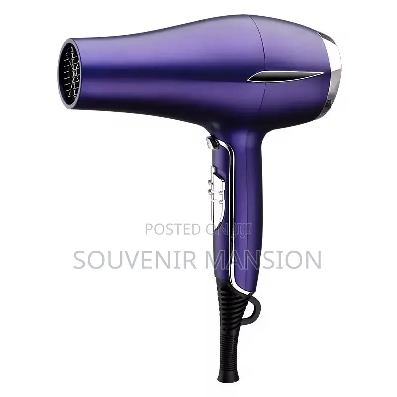 3000 Hair Dryer Watts