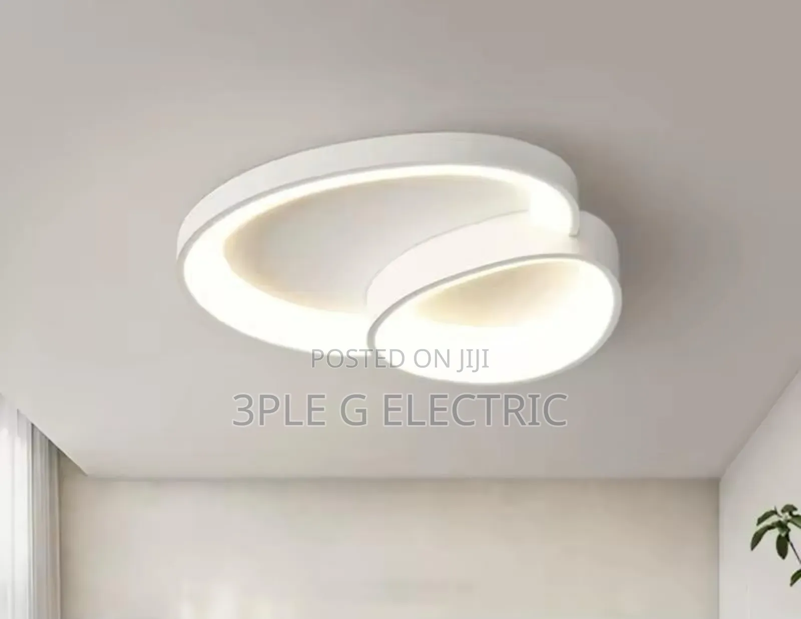Exclusive Ceiling Flush Light With Remote Control