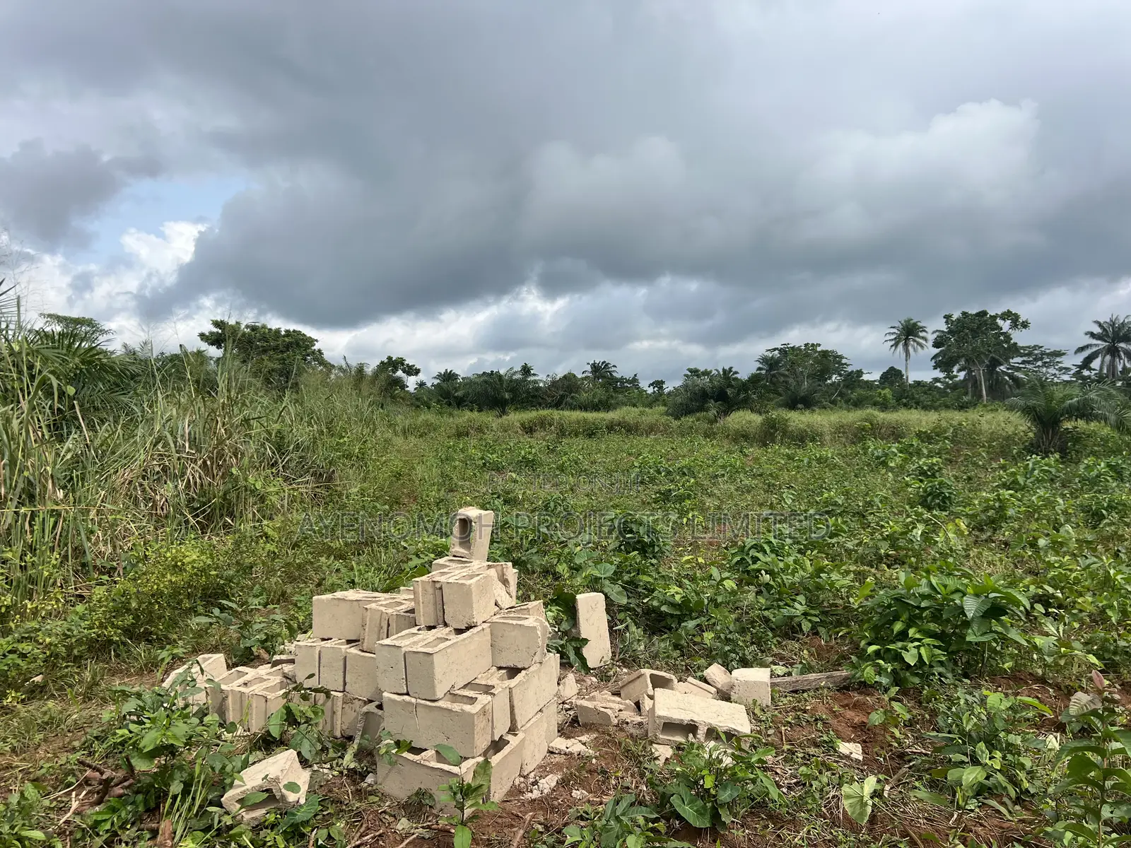 Farmland at Eredo 10 Acres
