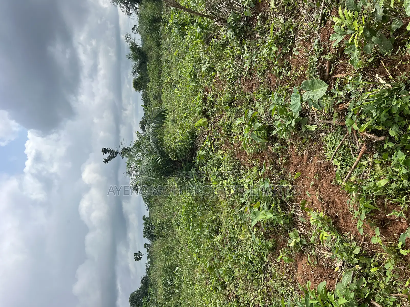 Farmland at Eredo 10 Acres