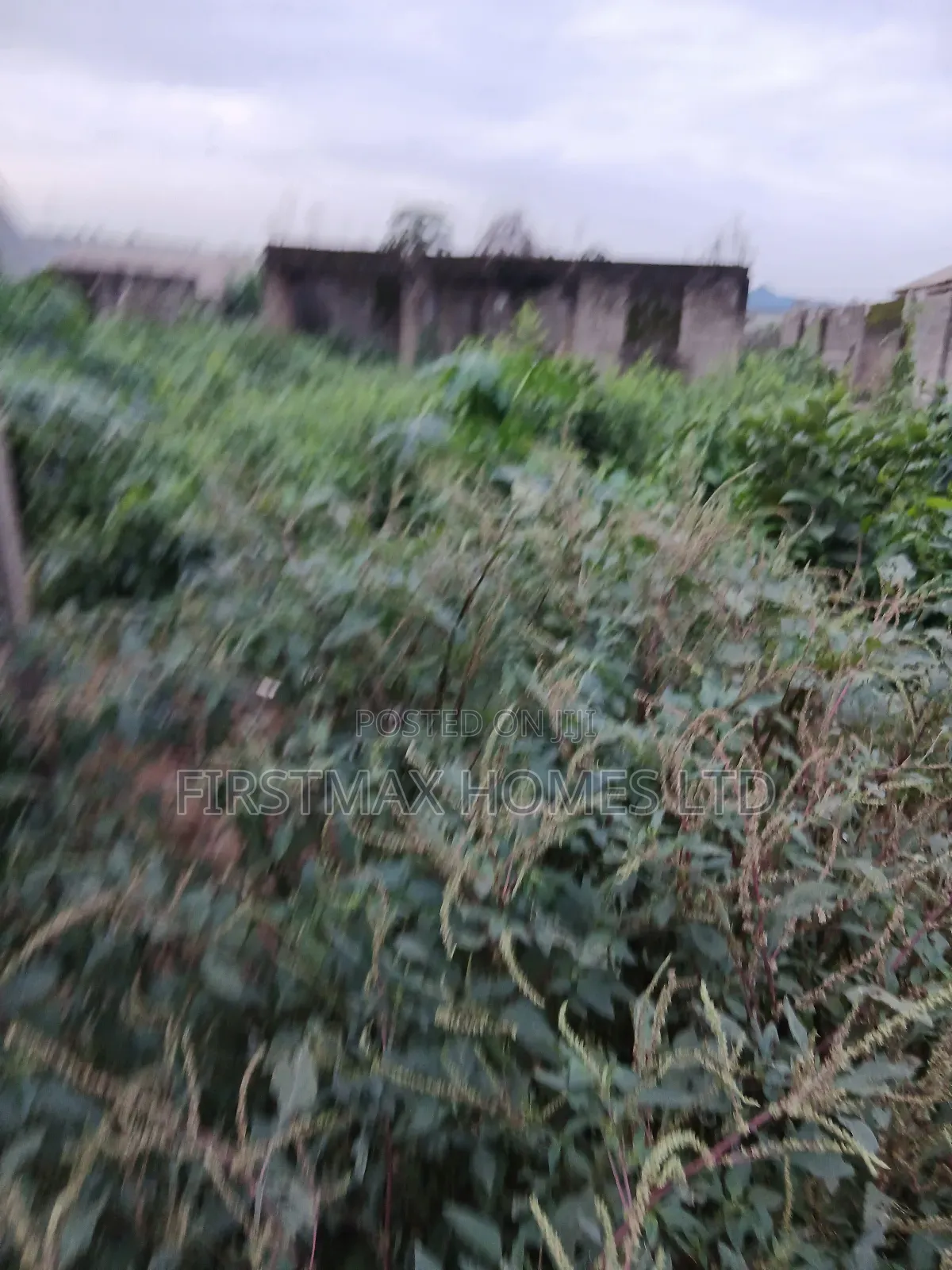 Land for Sale