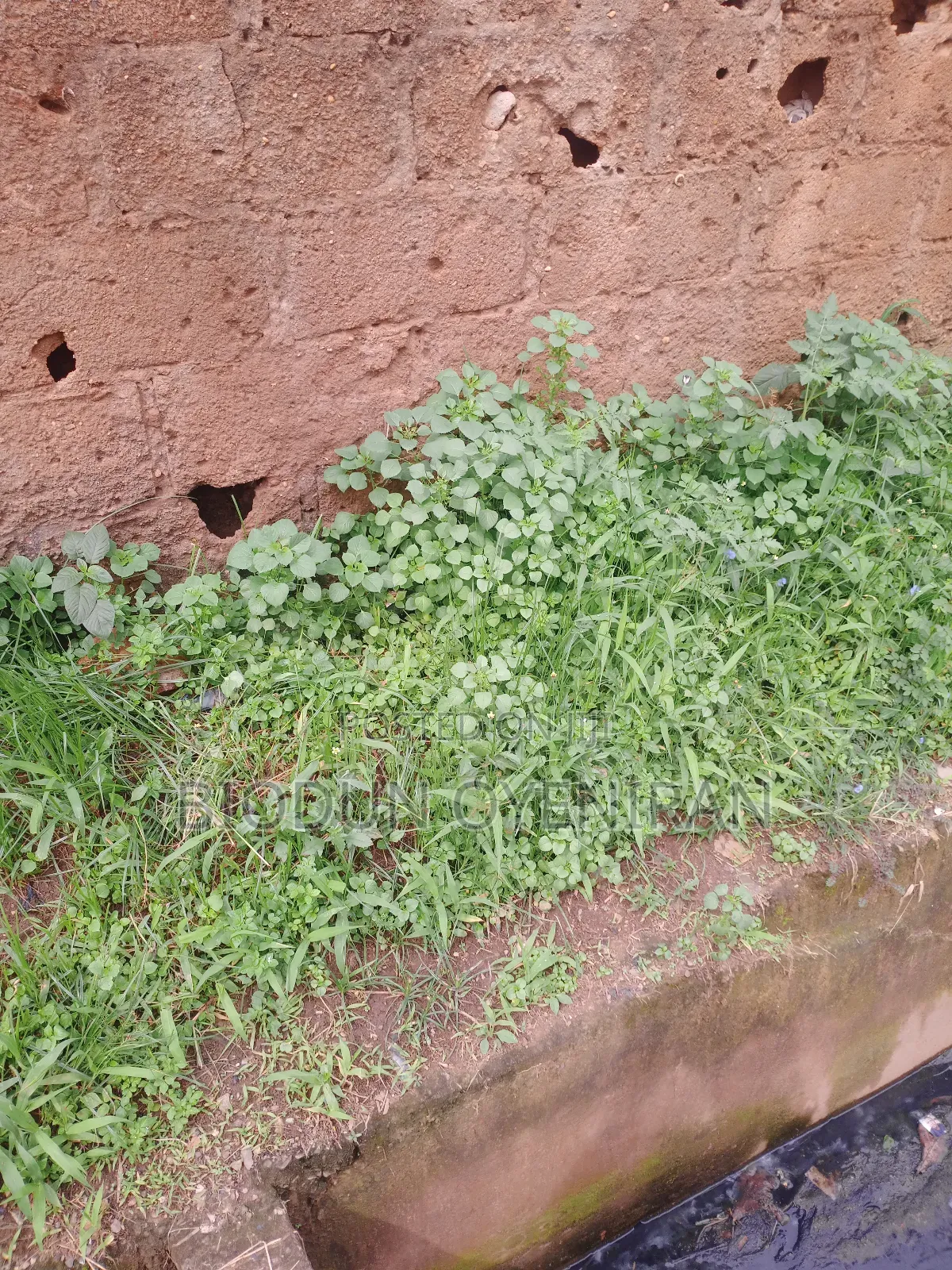 Large Expanse of Land at Surulere