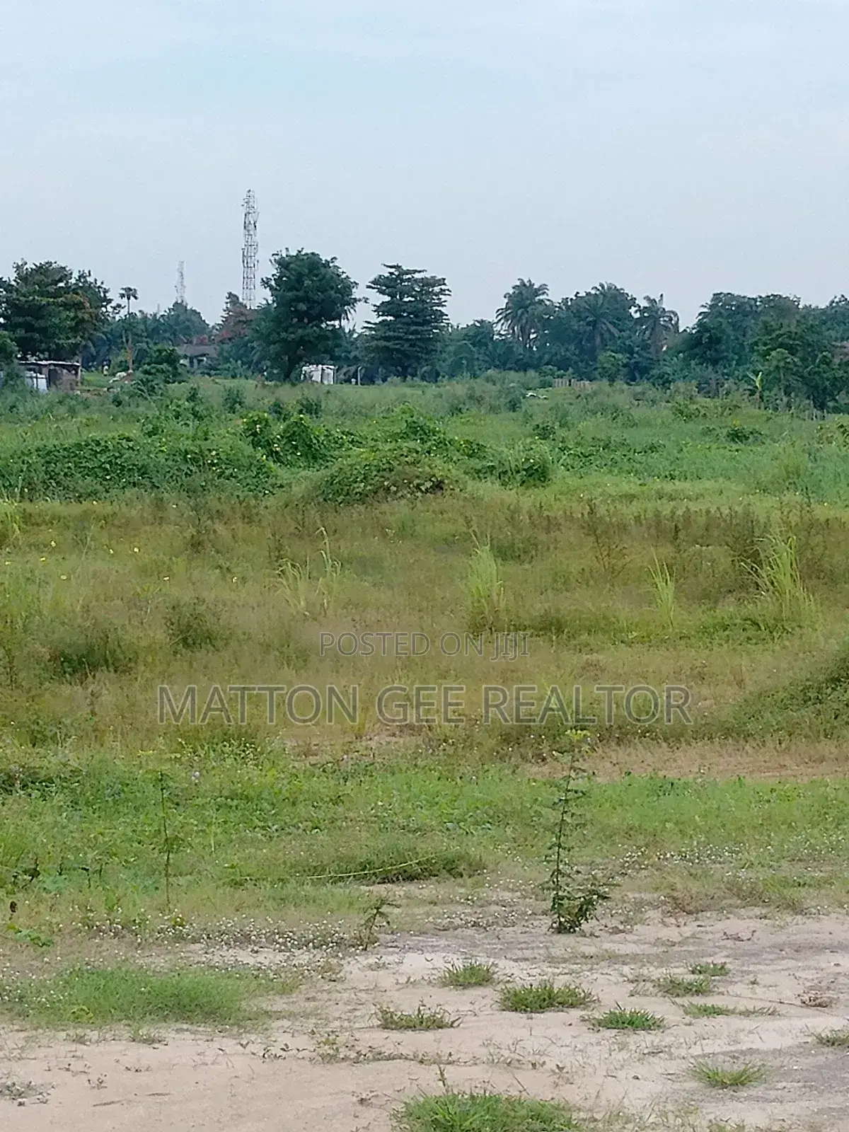 Land for Sales