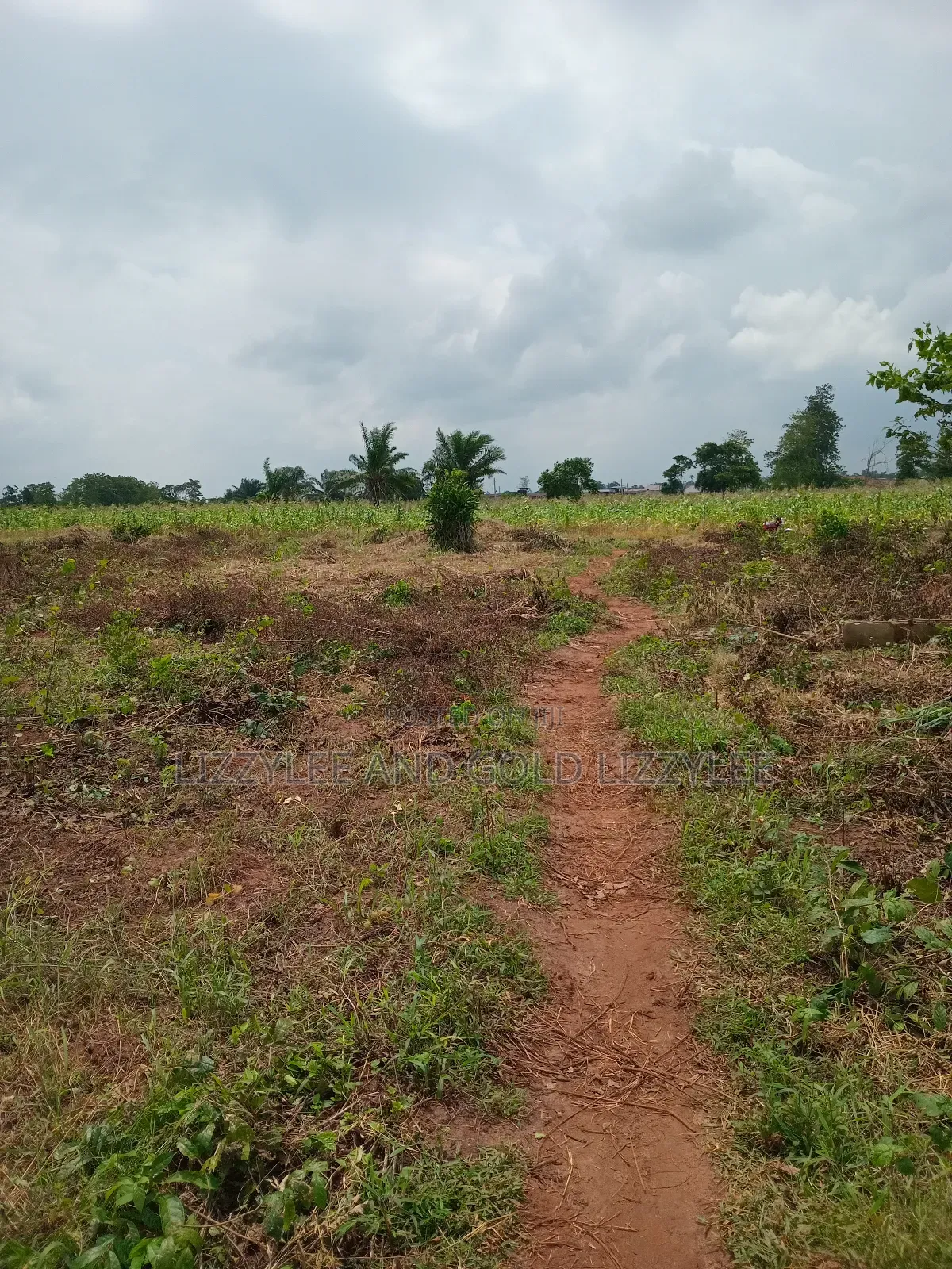 About 2000 Acres of Farmland for Sale