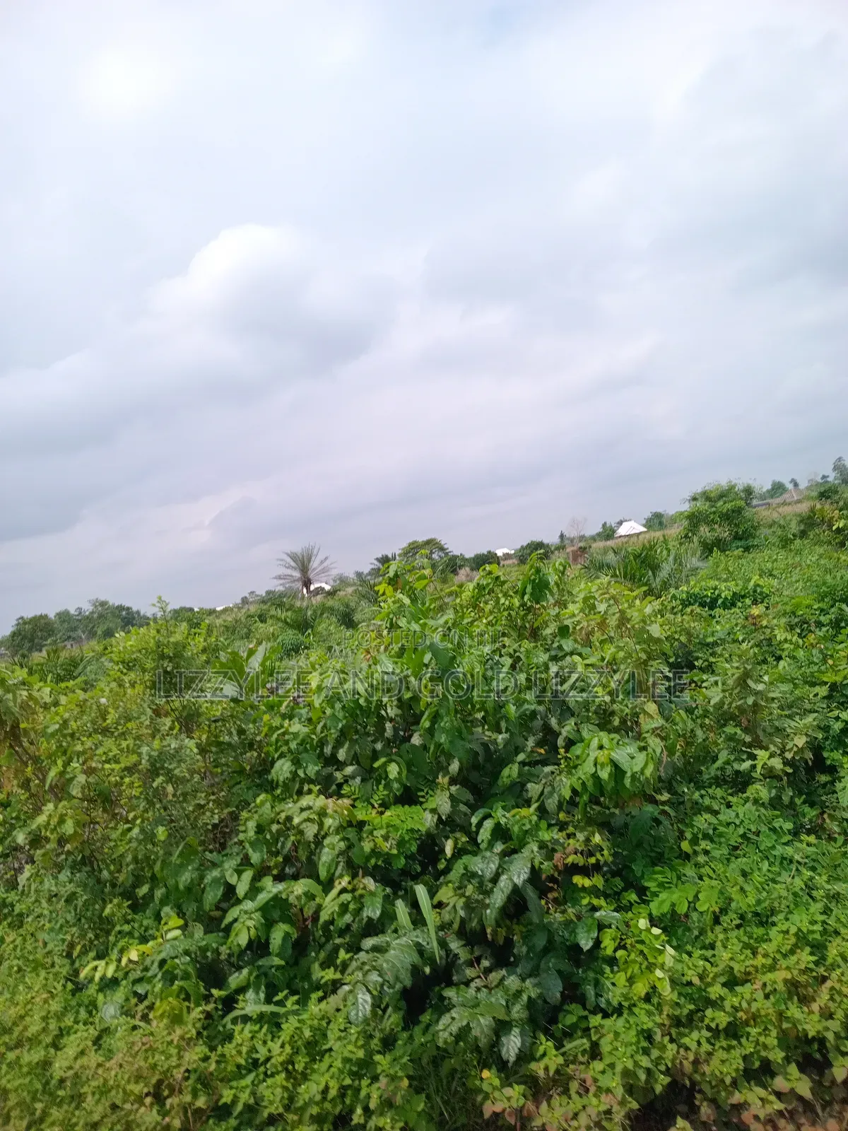 About 2000 Acres of Farmland for Sale