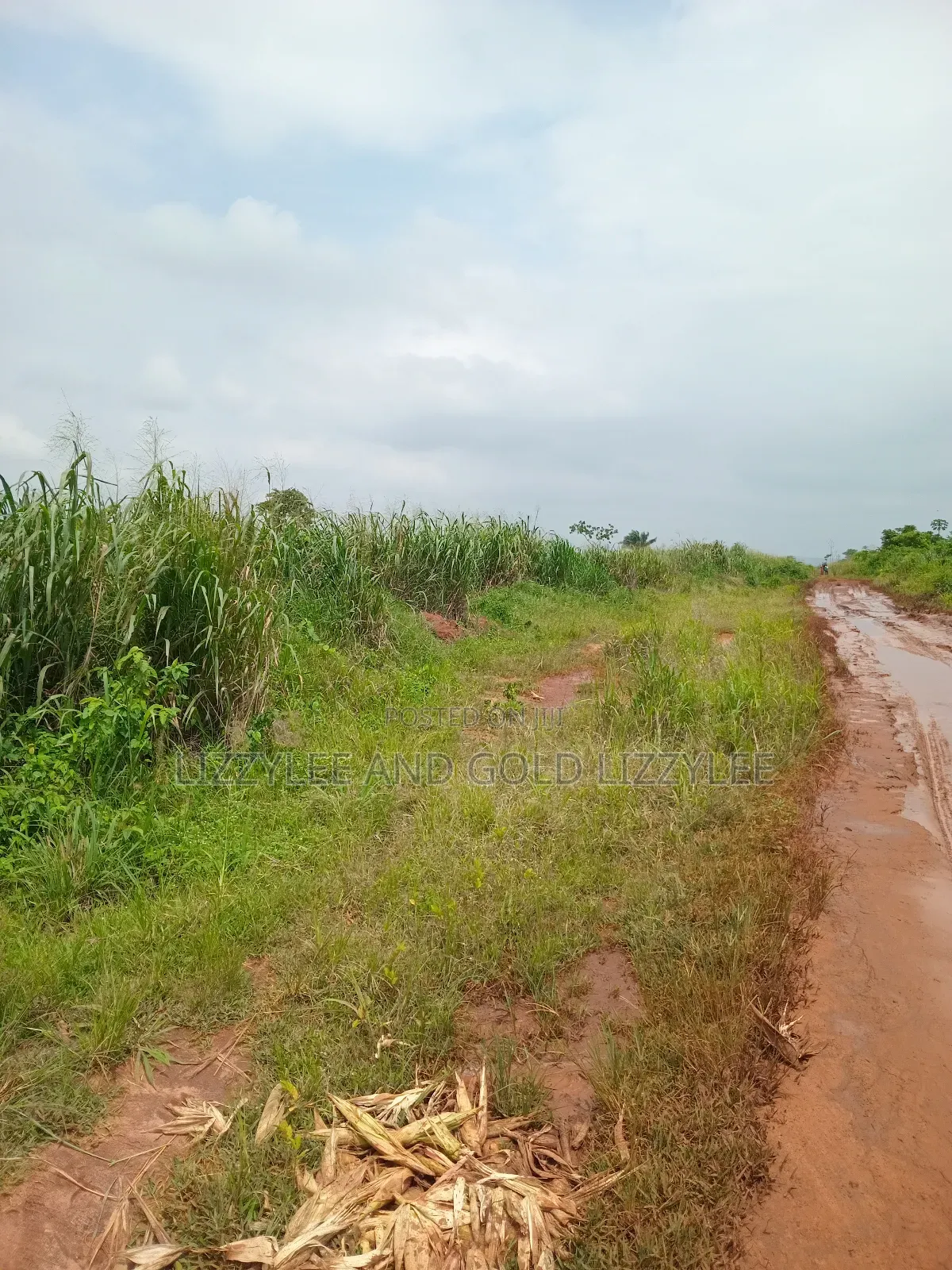 About 2000 Acres of Farmland for Sale