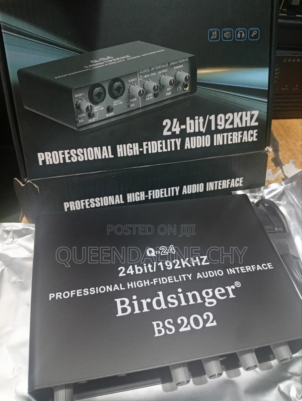 Q-24 Professional Audio Interface