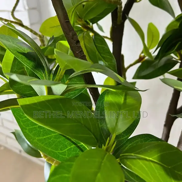 120cm 150cm Lifelike Artificial Fig Trees for Home Office