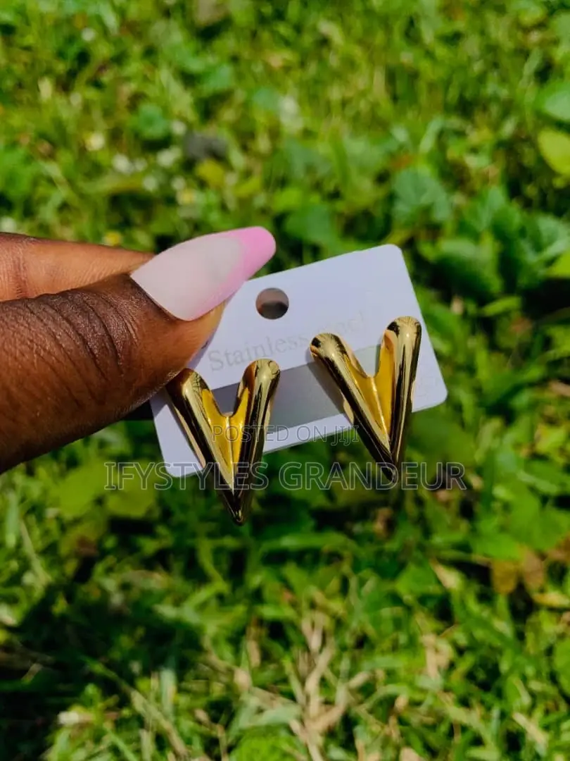 Stainless Steel Earrings