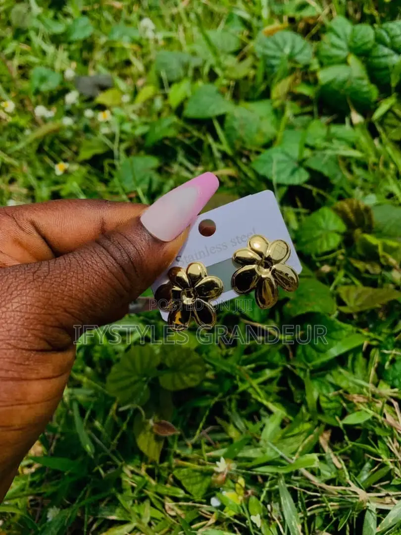 Stainless Steel Earrings