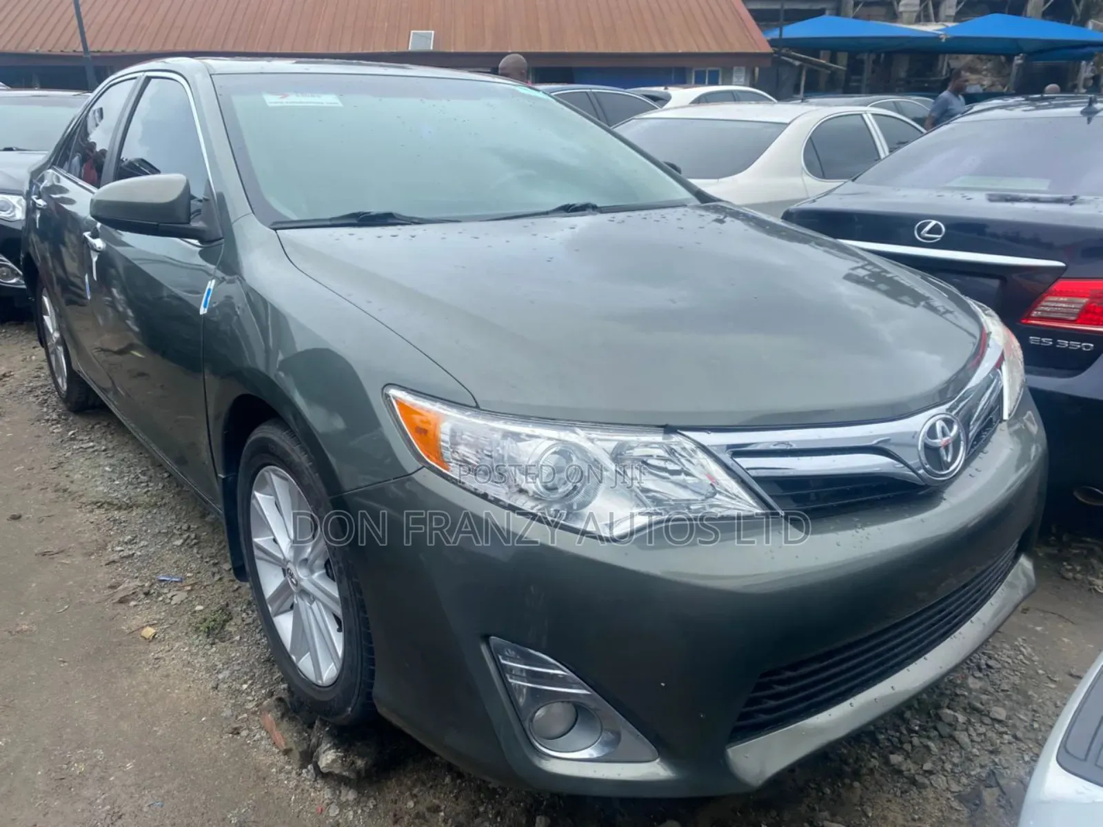 Toyota Camry XLE 4dr Sedan (2.5L 4cyl 6A) 2013 Green