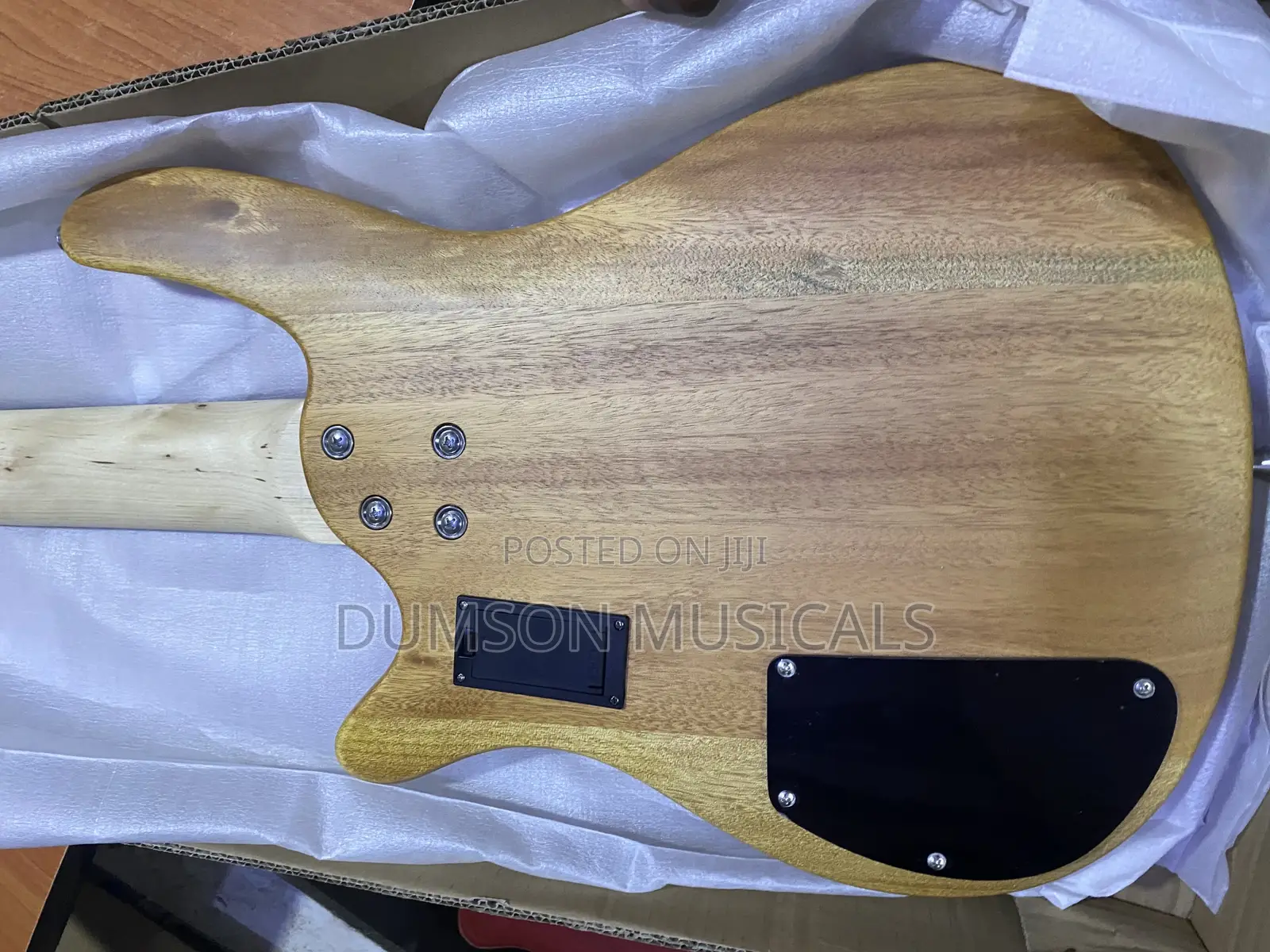 SDGR Ibanez 5 Strings Active Guitar