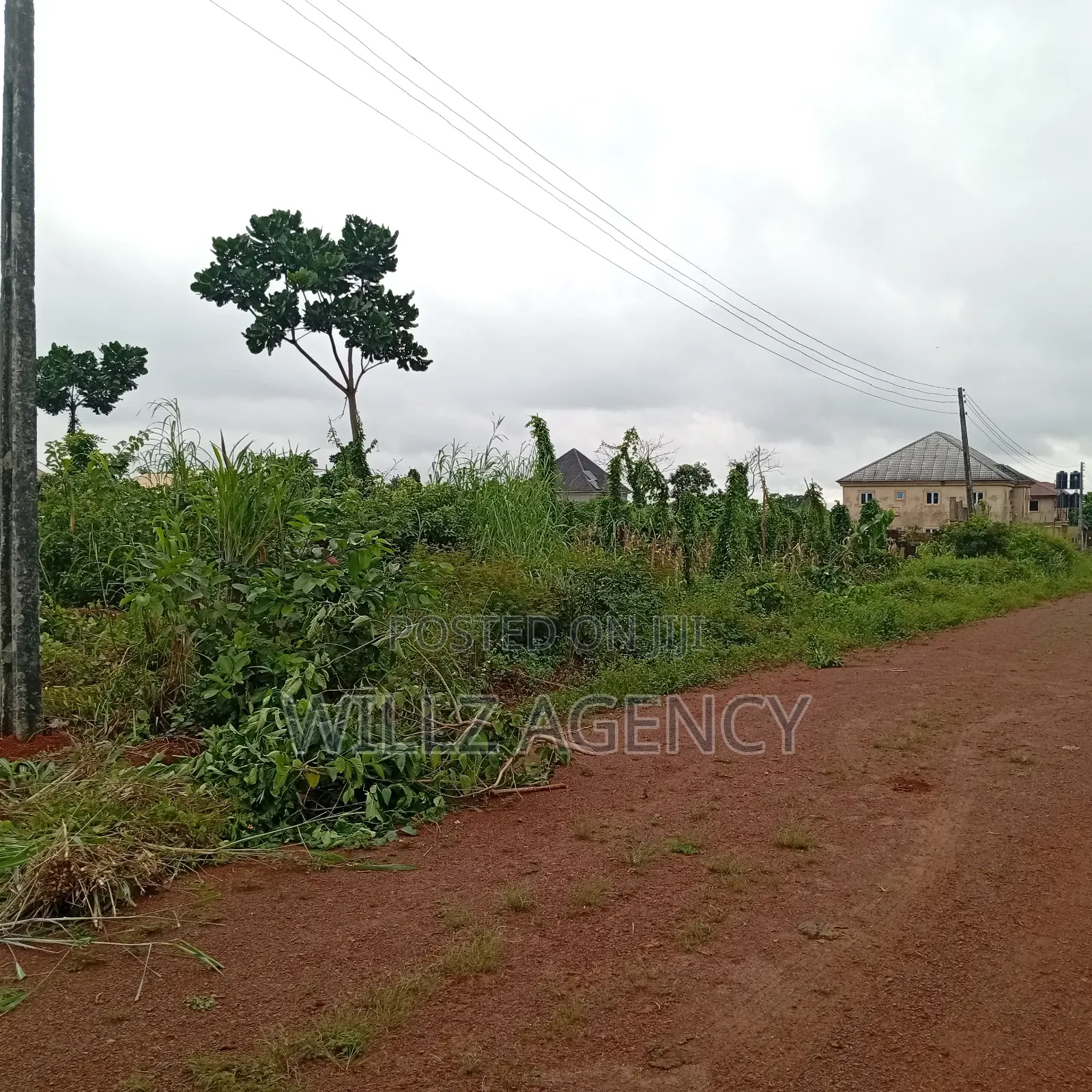 Over 5 Plots for Sale