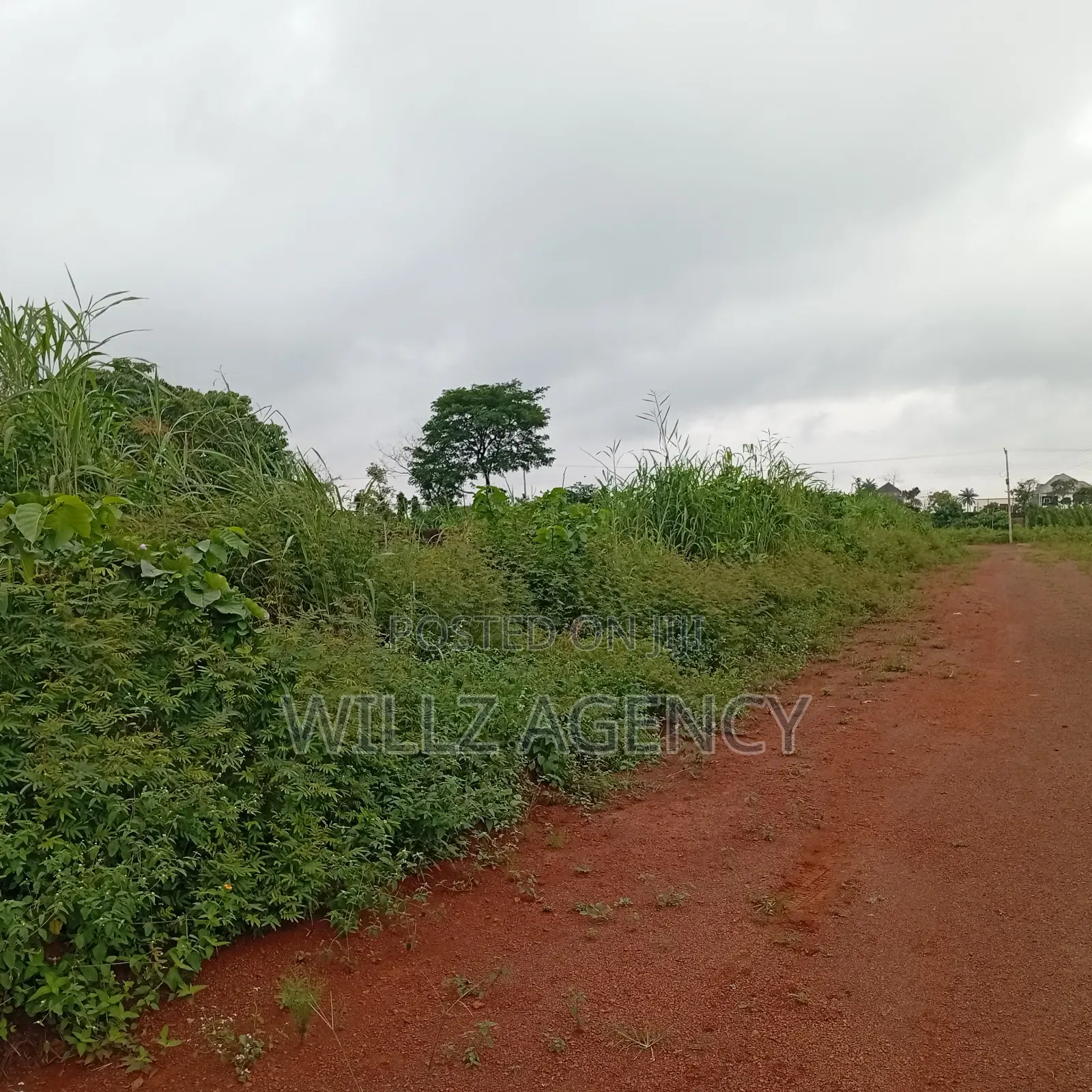 Over 5 Plots for Sale