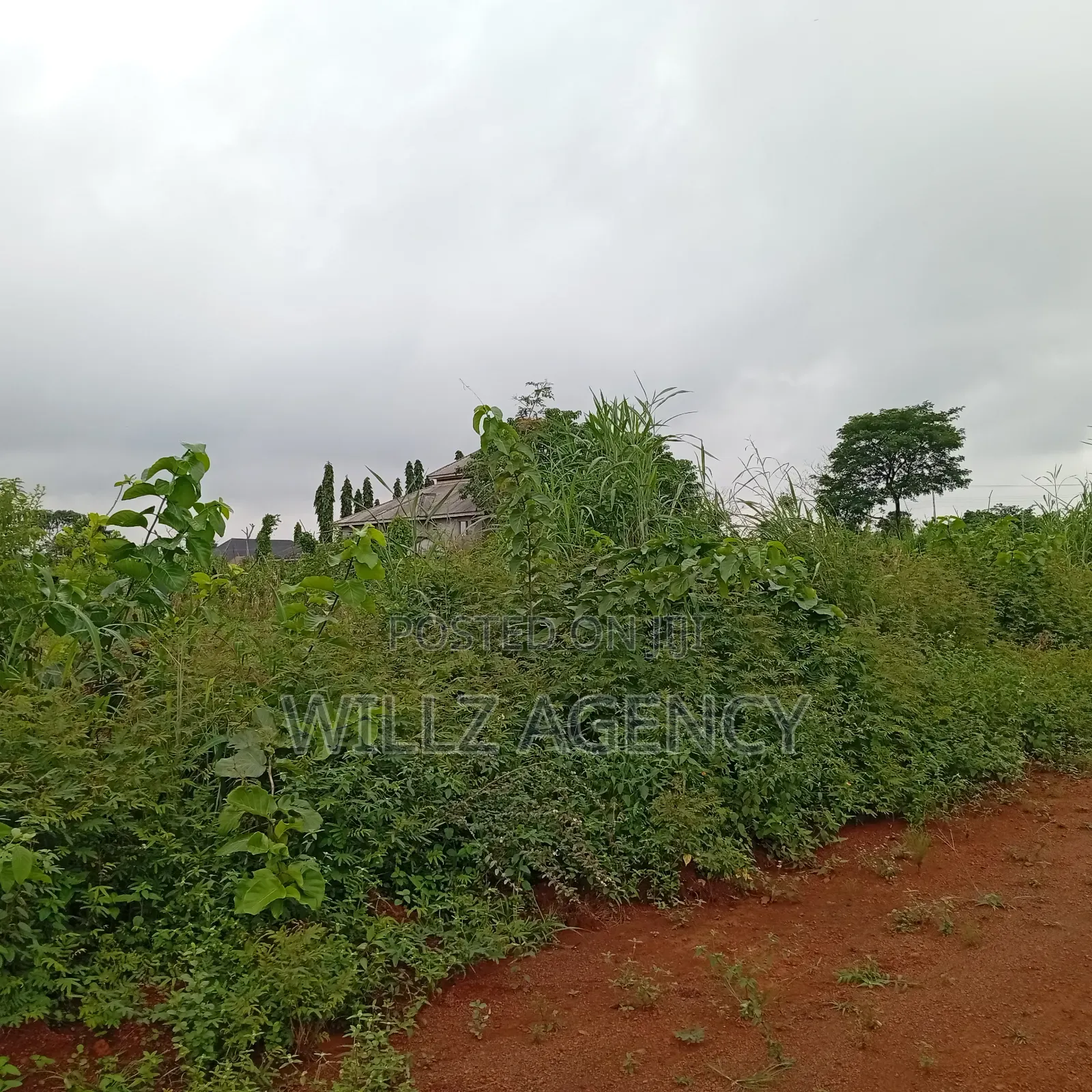 Over 5 Plots for Sale